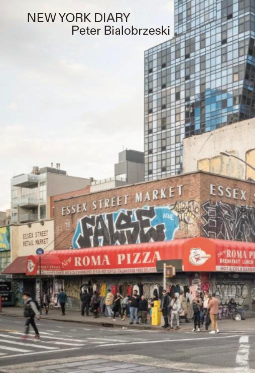 Vorderes Coverbild New York Diary