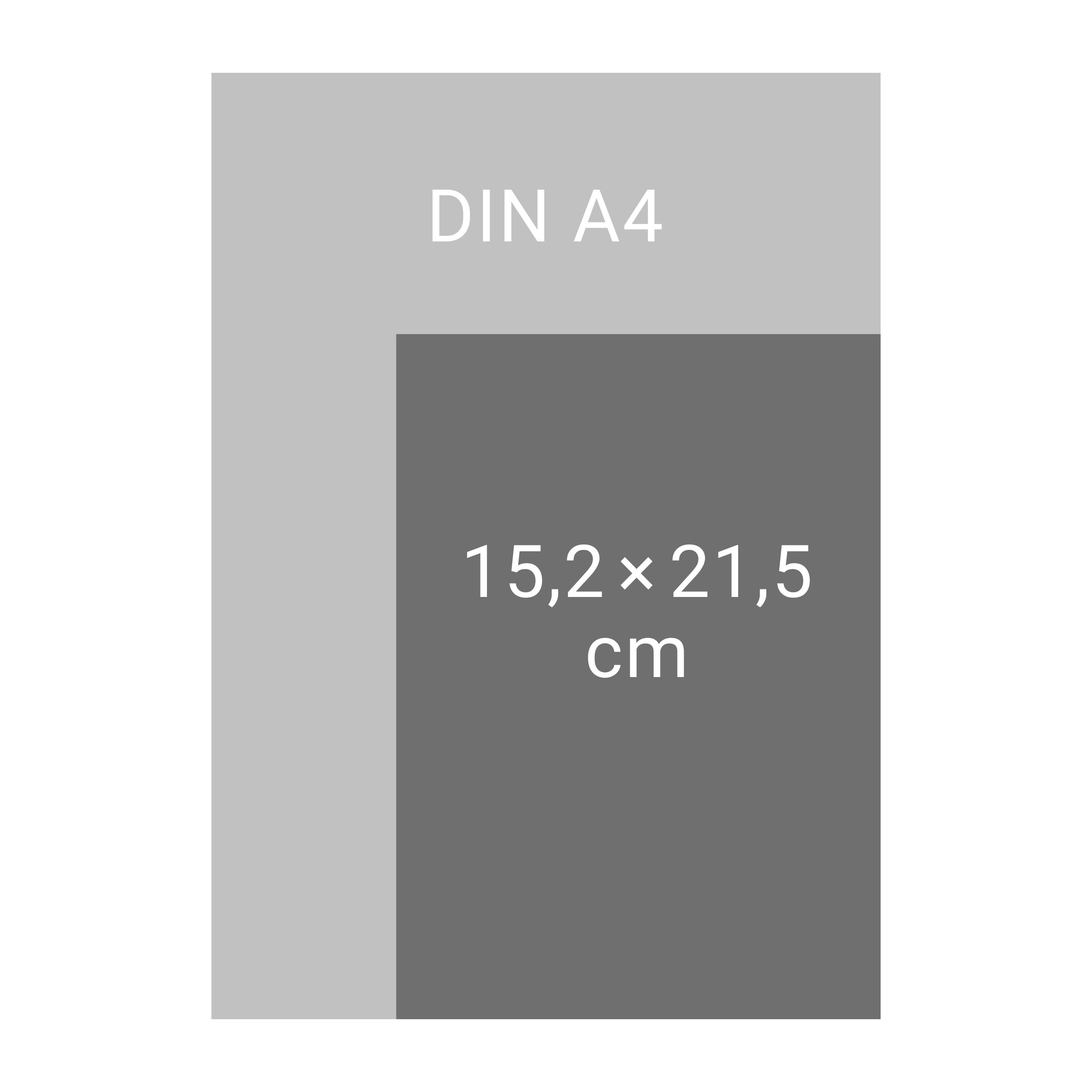 Beispielinhalt (Bild) Design Diary Frida 2026