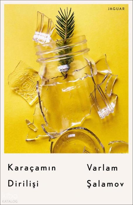 Vorderes Coverbild Karacamin Dirilisi