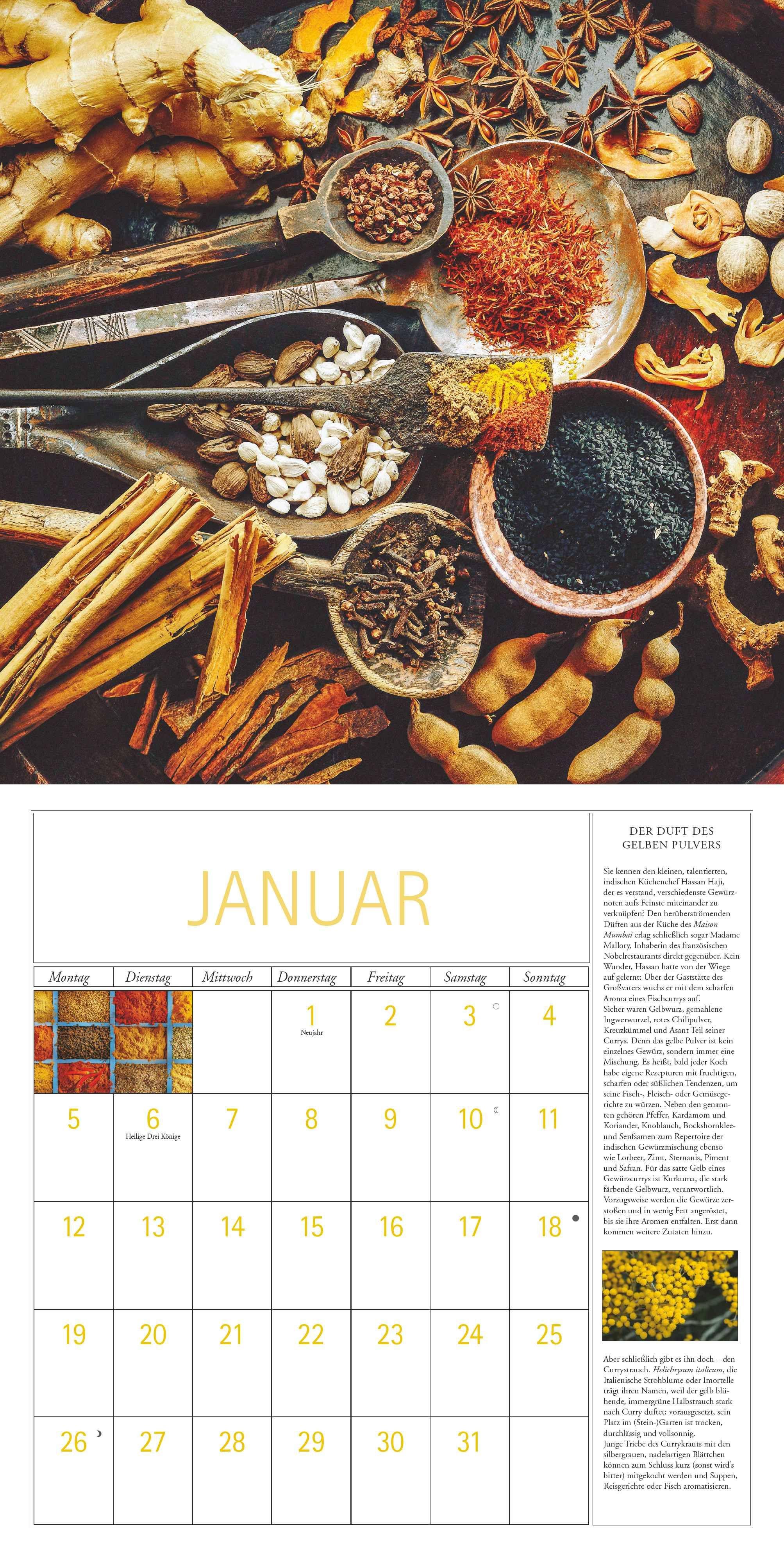 Beispielinhalt (Bild) DUMONT - DUMONTS Kräuter Kalender 2026 Broschürenkalender, 30x30cm, Wandkalender mit Texten, Rezepten und nützlichen Tipps, mit Jahresübersicht 2026 und Schulferientabelle