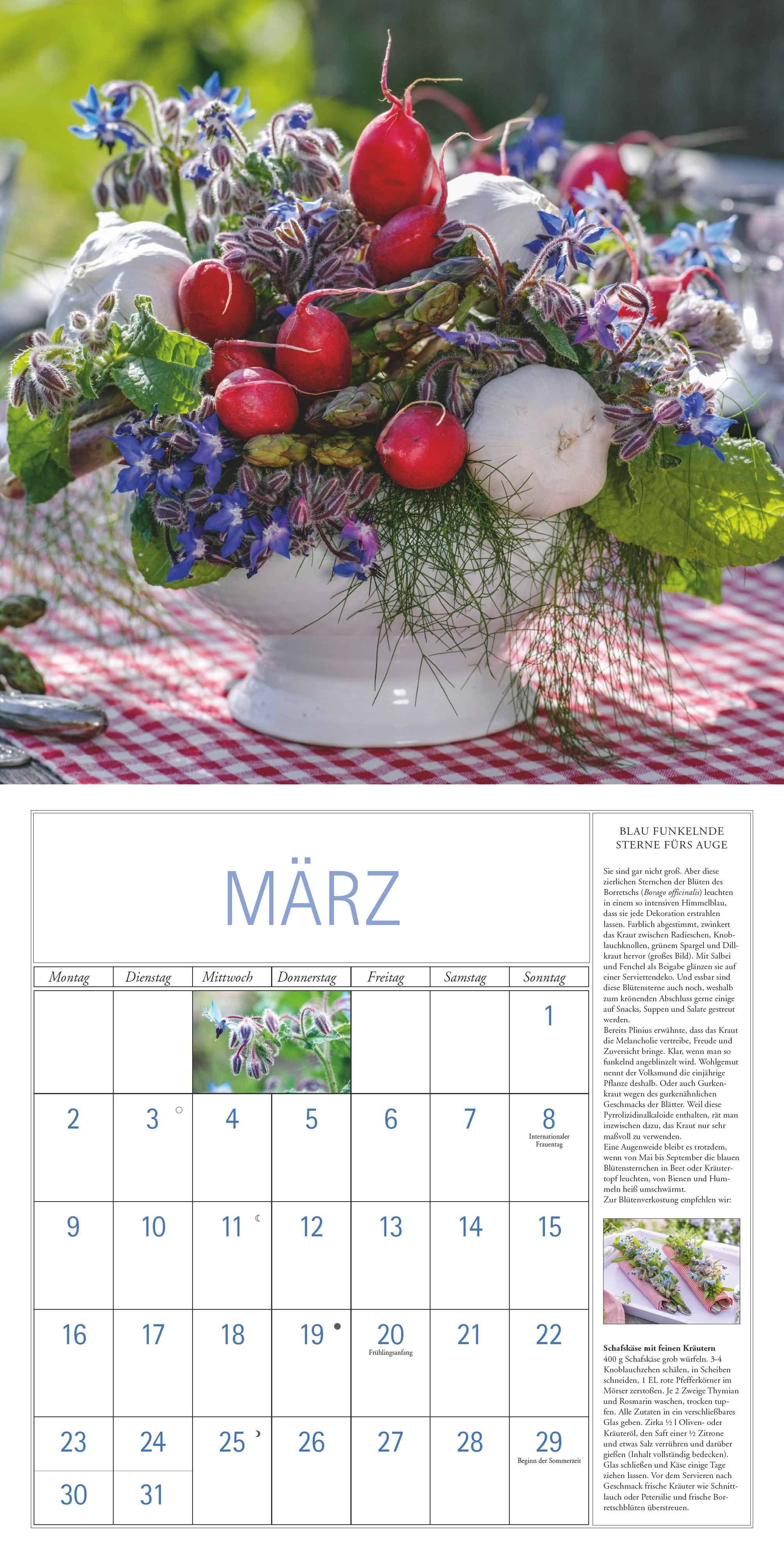 Beispielinhalt (Bild) DUMONT - DUMONTS Kräuter Kalender 2026 Broschürenkalender, 30x30cm, Wandkalender mit Texten, Rezepten und nützlichen Tipps, mit Jahresübersicht 2026 und Schulferientabelle