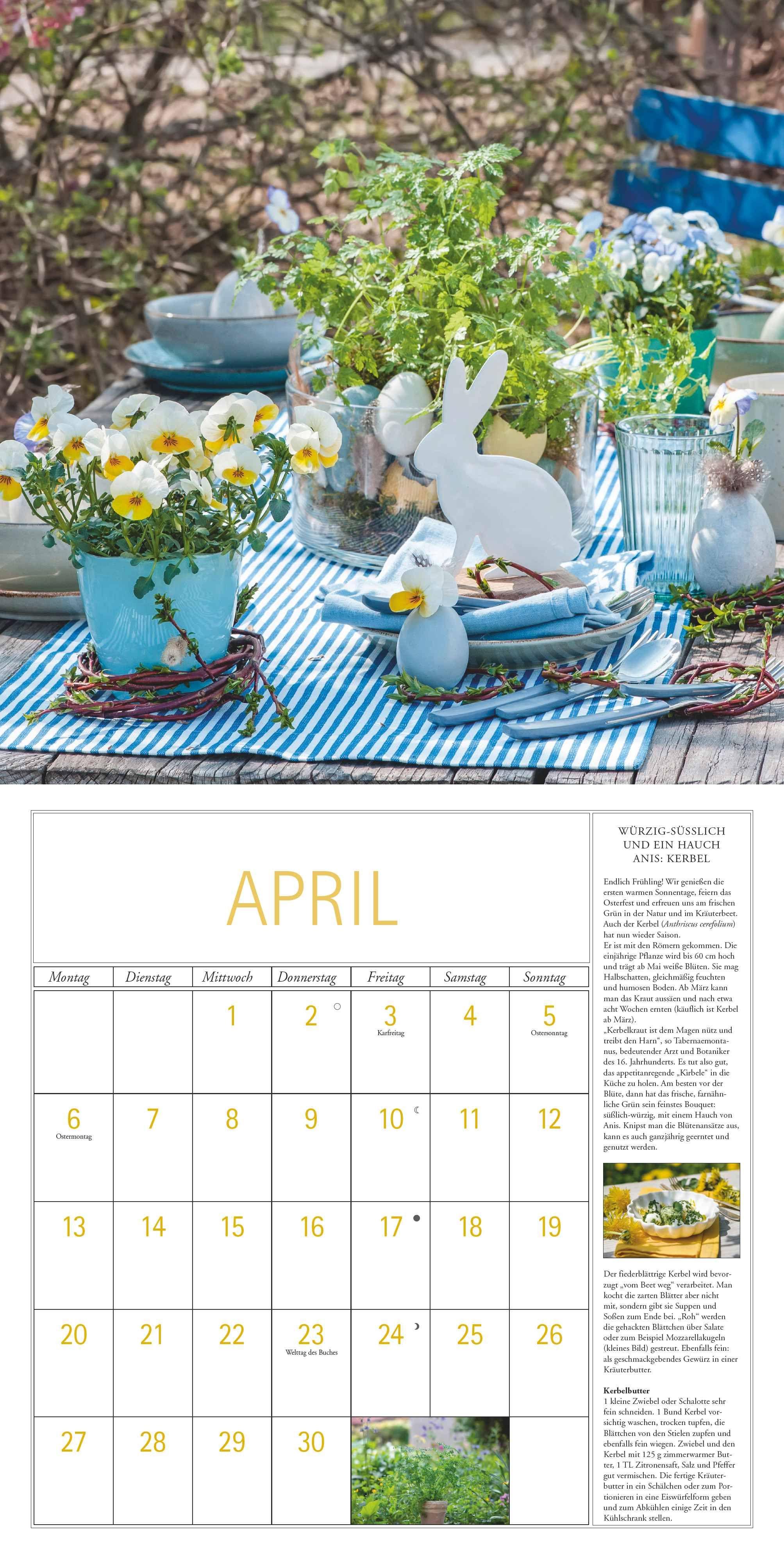 Beispielinhalt (Bild) DUMONT - DUMONTS Kräuter Kalender 2026 Broschürenkalender, 30x30cm, Wandkalender mit Texten, Rezepten und nützlichen Tipps, mit Jahresübersicht 2026 und Schulferientabelle