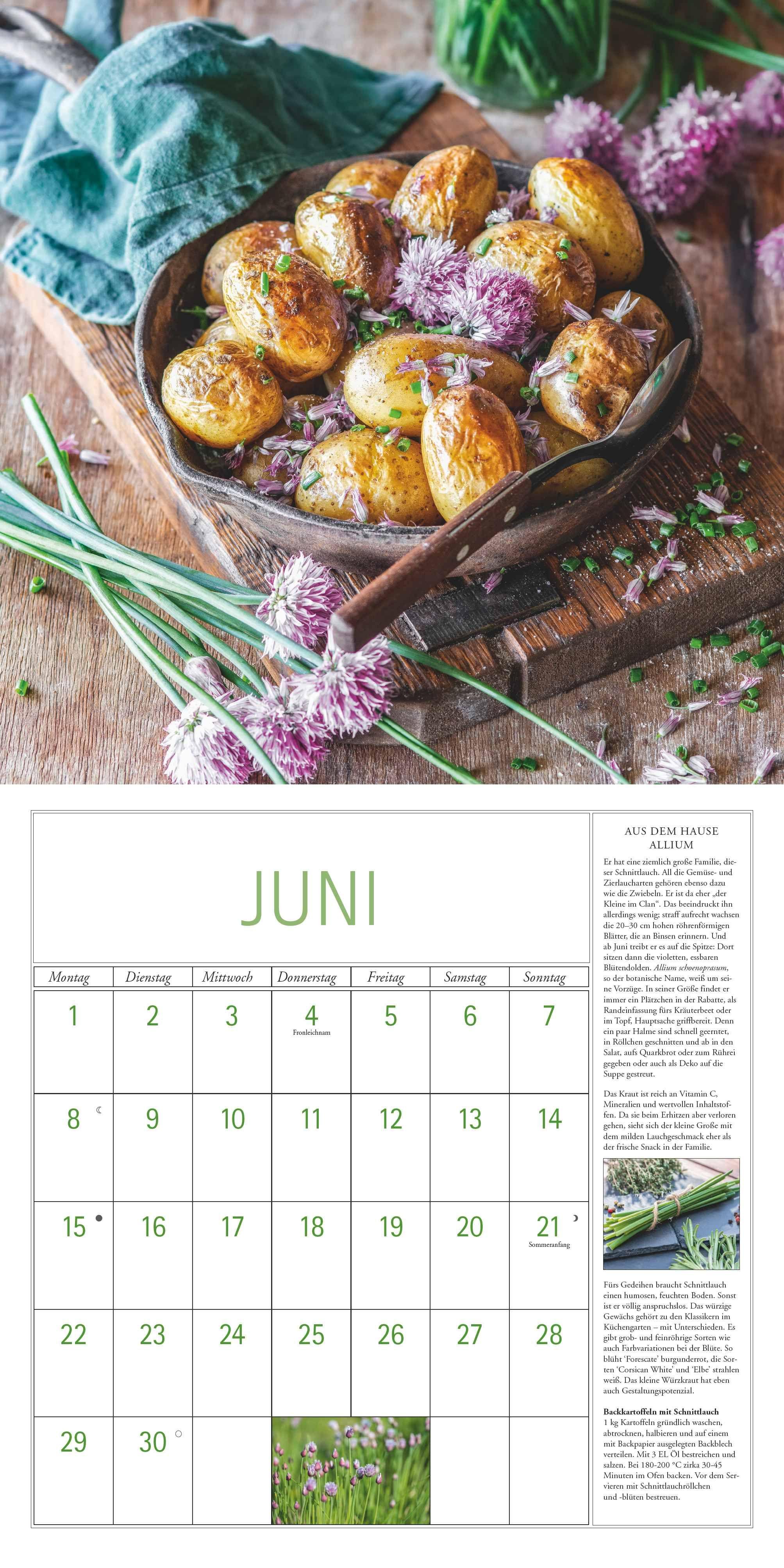Beispielinhalt (Bild) DUMONT - DUMONTS Kräuter Kalender 2026 Broschürenkalender, 30x30cm, Wandkalender mit Texten, Rezepten und nützlichen Tipps, mit Jahresübersicht 2026 und Schulferientabelle