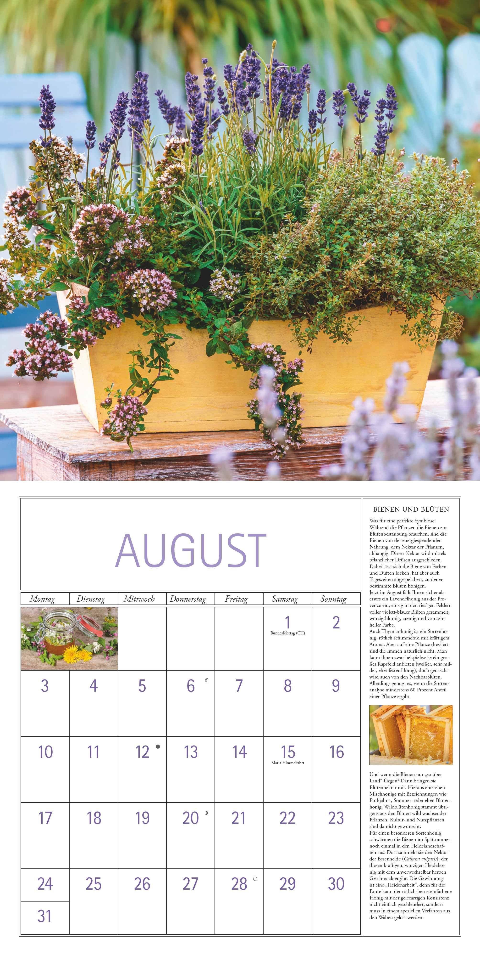 Beispielinhalt (Bild) DUMONT - DUMONTS Kräuter Kalender 2026 Broschürenkalender, 30x30cm, Wandkalender mit Texten, Rezepten und nützlichen Tipps, mit Jahresübersicht 2026 und Schulferientabelle