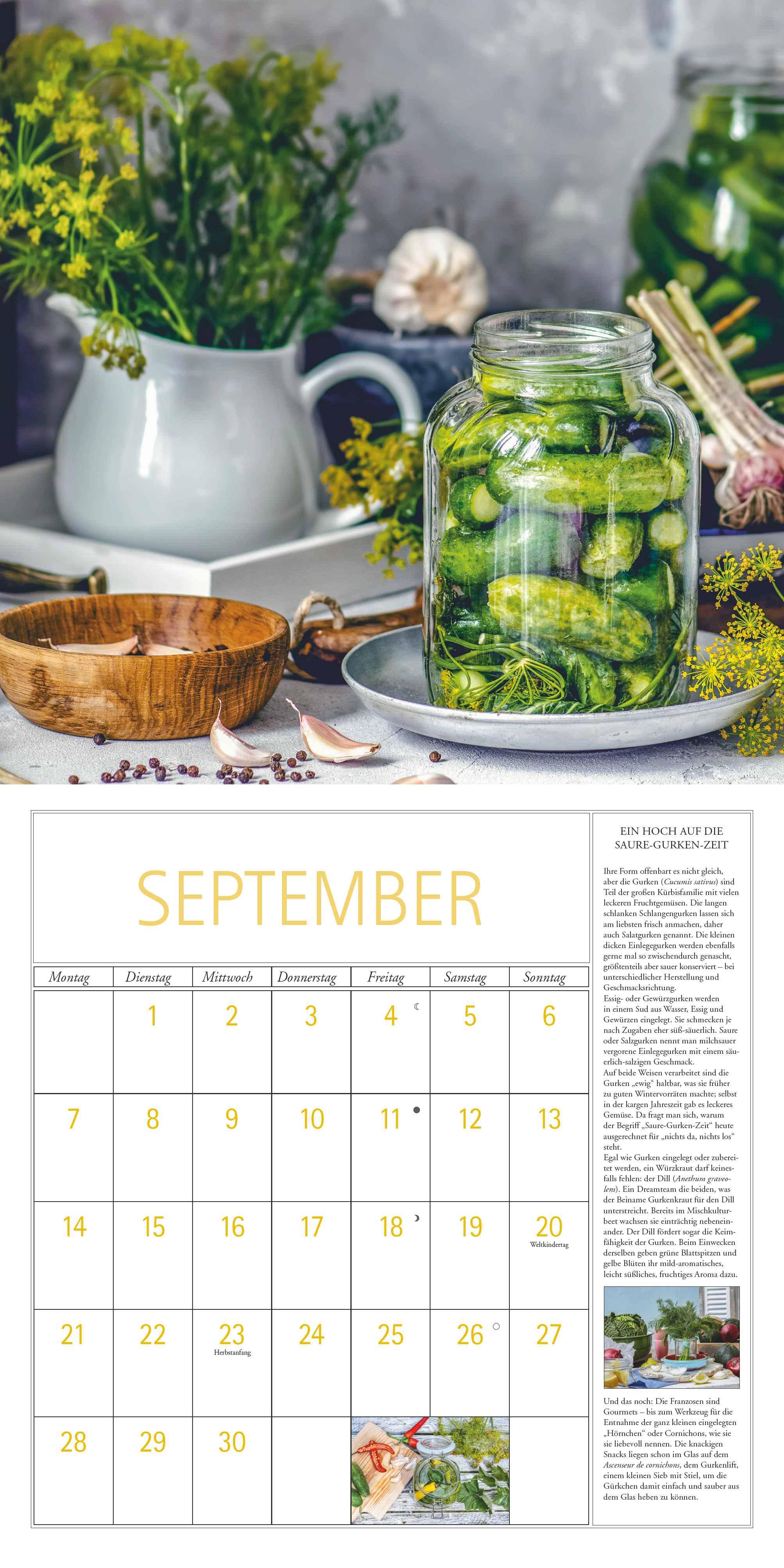 Beispielinhalt (Bild) DUMONT - DUMONTS Kräuter Kalender 2026 Broschürenkalender, 30x30cm, Wandkalender mit Texten, Rezepten und nützlichen Tipps, mit Jahresübersicht 2026 und Schulferientabelle
