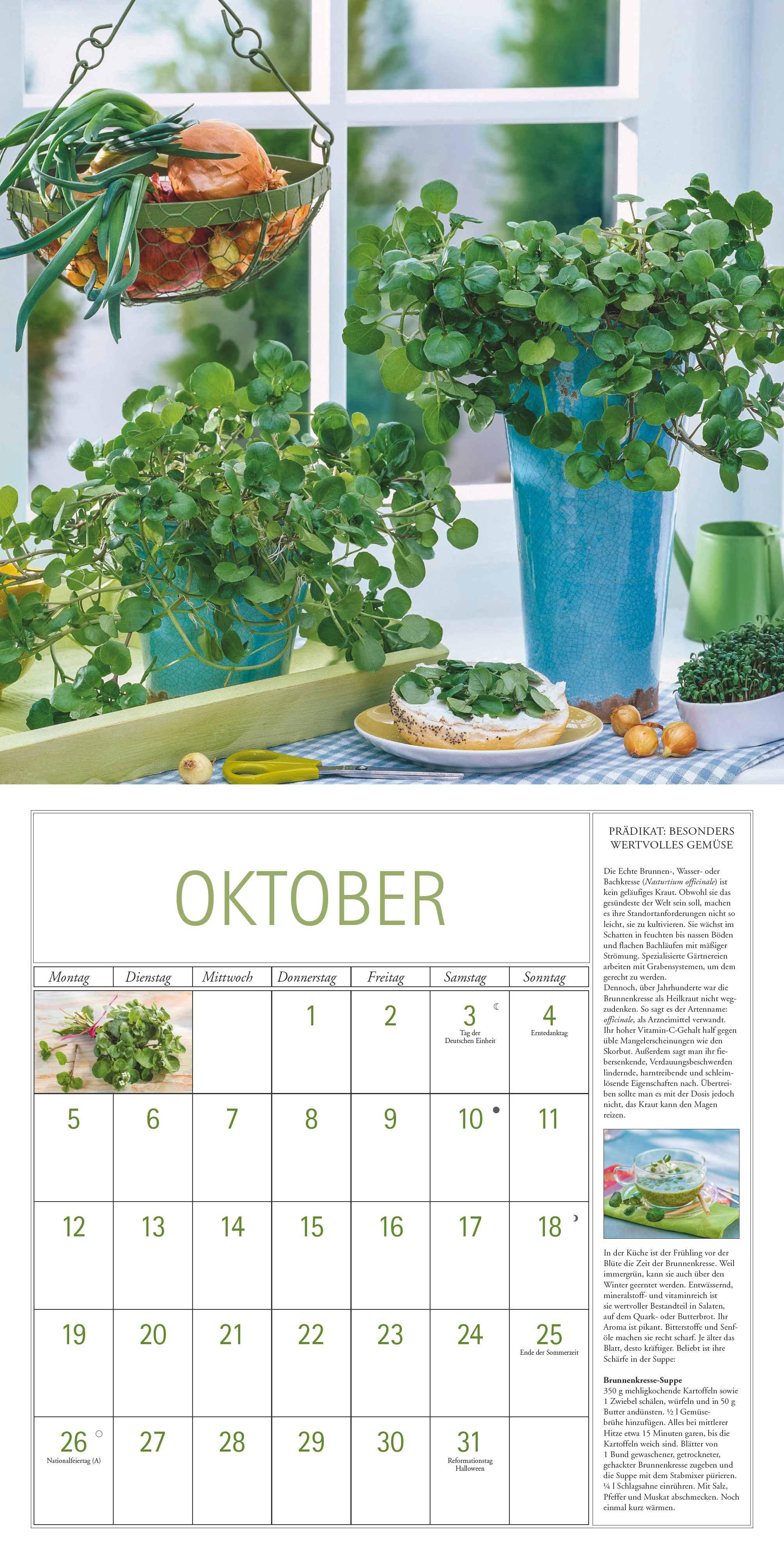 Beispielinhalt (Bild) DUMONT - DUMONTS Kräuter Kalender 2026 Broschürenkalender, 30x30cm, Wandkalender mit Texten, Rezepten und nützlichen Tipps, mit Jahresübersicht 2026 und Schulferientabelle