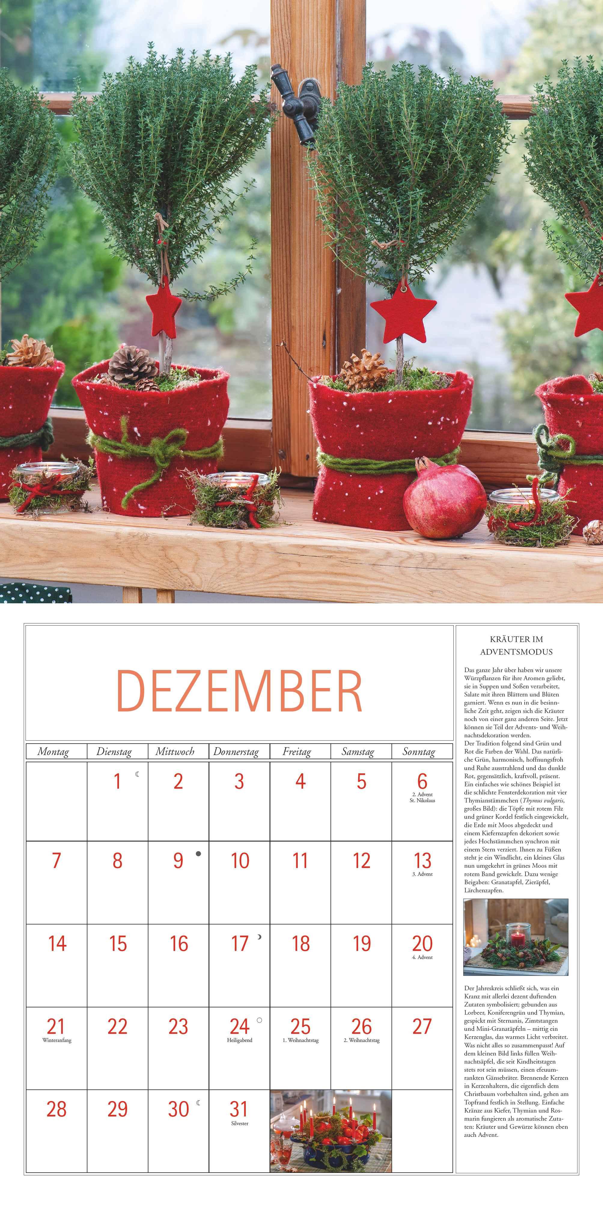 Beispielinhalt (Bild) DUMONT - DUMONTS Kräuter Kalender 2026 Broschürenkalender, 30x30cm, Wandkalender mit Texten, Rezepten und nützlichen Tipps, mit Jahresübersicht 2026 und Schulferientabelle