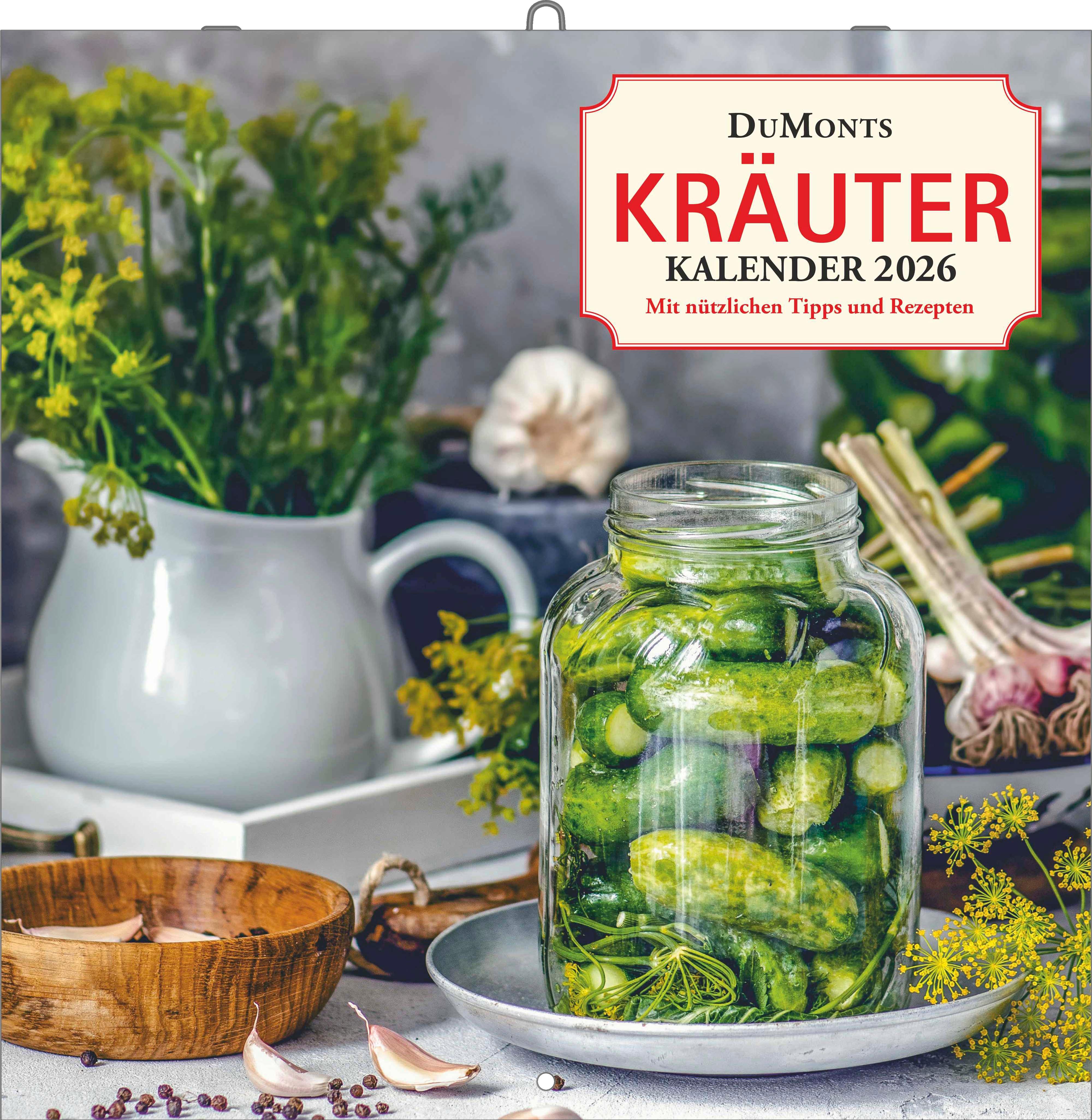 Vorderes Coverbild DUMONT - DUMONTS Kräuter Kalender 2026 Broschürenkalender, 30x30cm, Wandkalender mit Texten, Rezepten und nützlichen Tipps, mit Jahresübersicht 2026 und Schulferientabelle