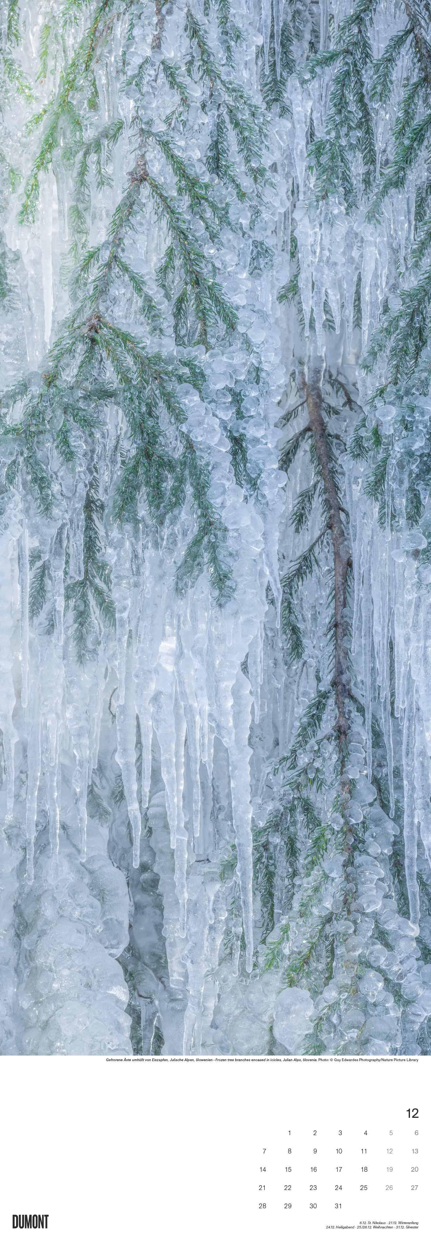 Beispielinhalt (Bild) Bäume 2026 - Foto-Kalender - Wand-Kalender - King-Size - 34x98