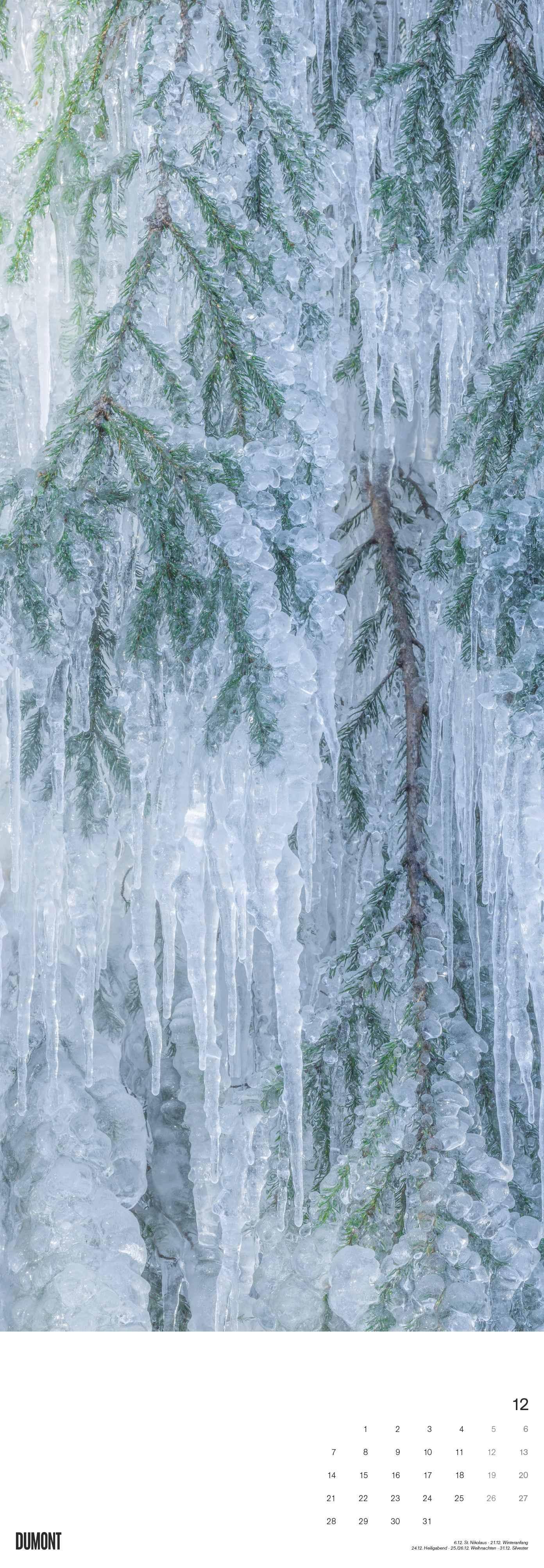 Beispielinhalt (Bild) Bäume 2026 - Foto-Kalender - Wand-Kalender - King-Size - 34x98