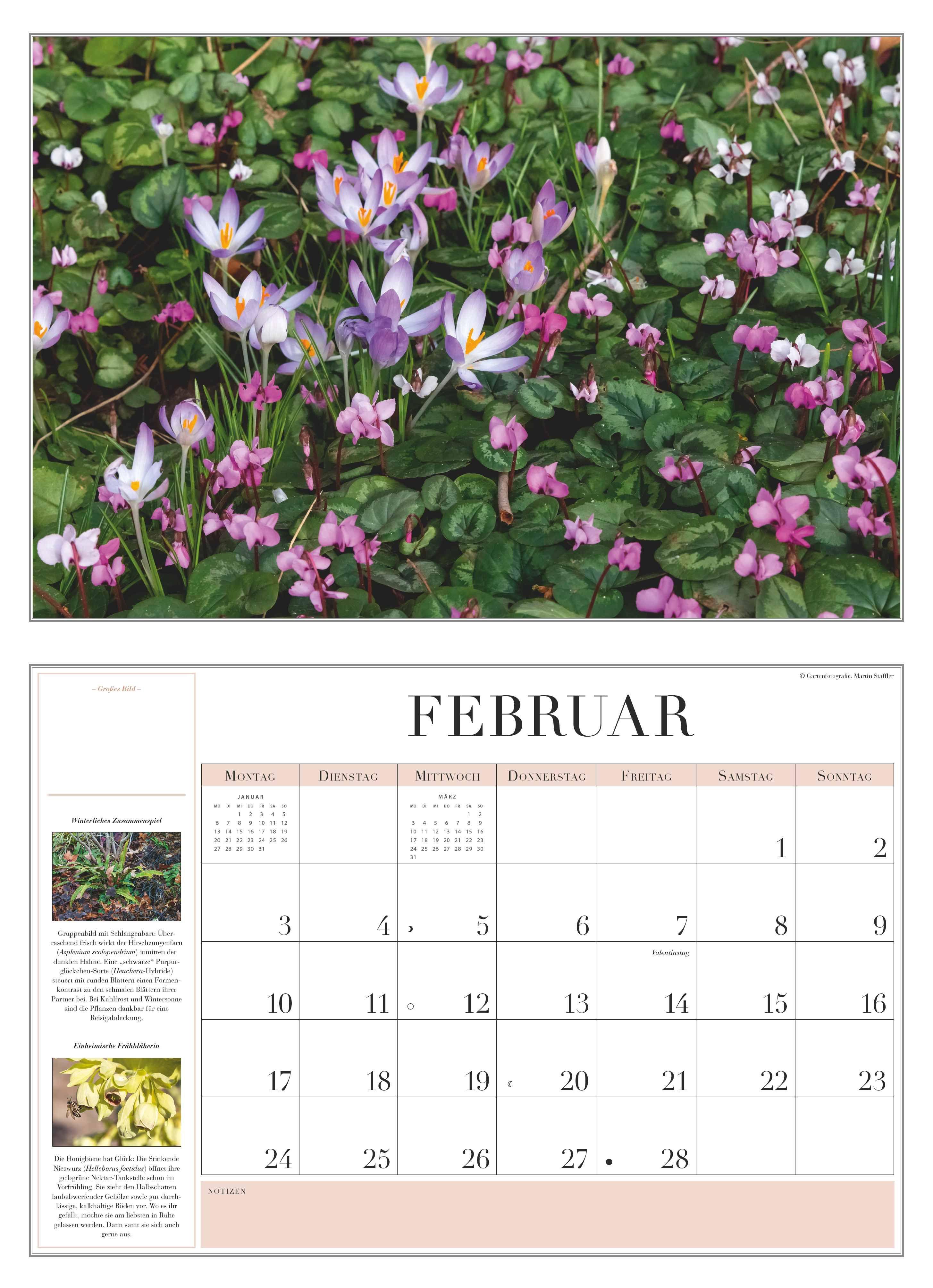 Beispielinhalt (Bild) Garten-Kalender 2026 - Broschürenkalender - mit informativen Texten - mit Jahresplaner - Format 42 x 29 cm