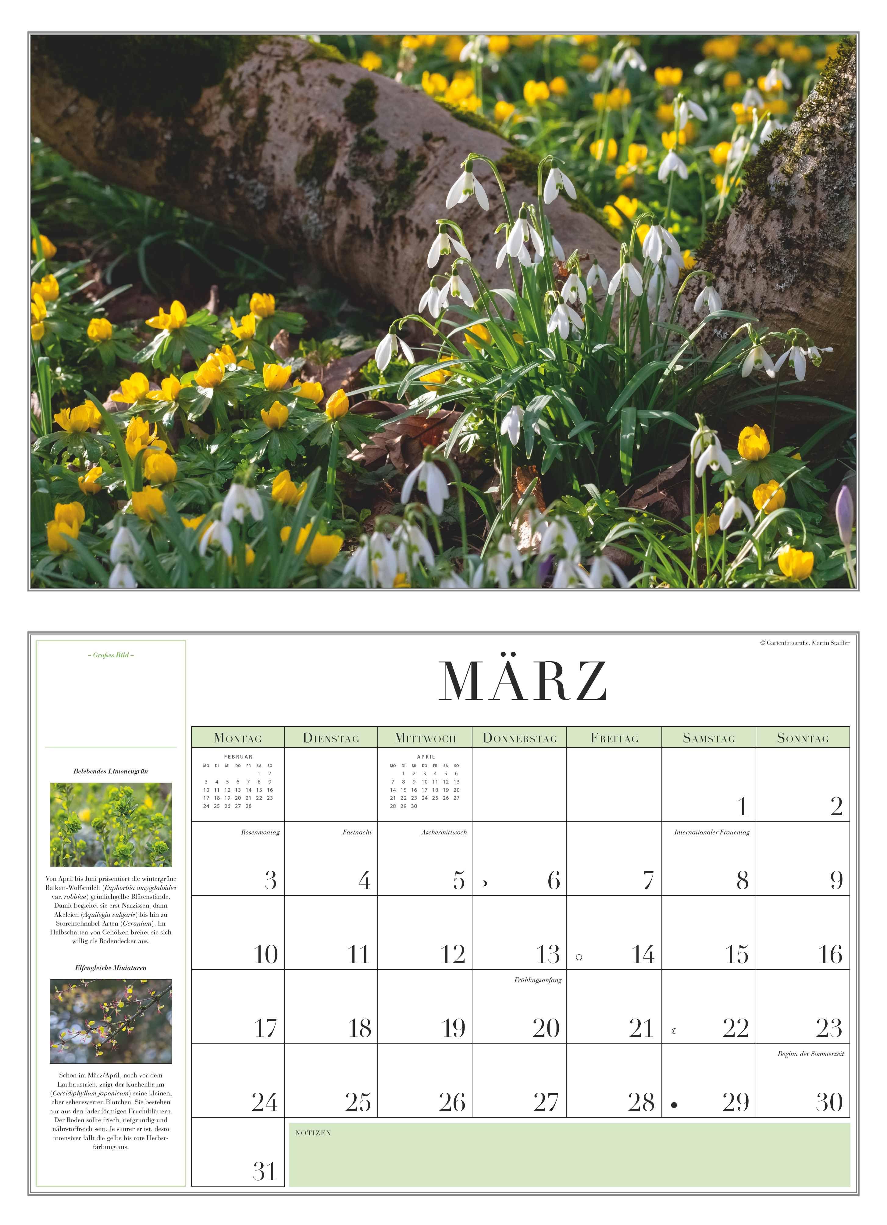Beispielinhalt (Bild) Garten-Kalender 2026 - Broschürenkalender - mit informativen Texten - mit Jahresplaner - Format 42 x 29 cm