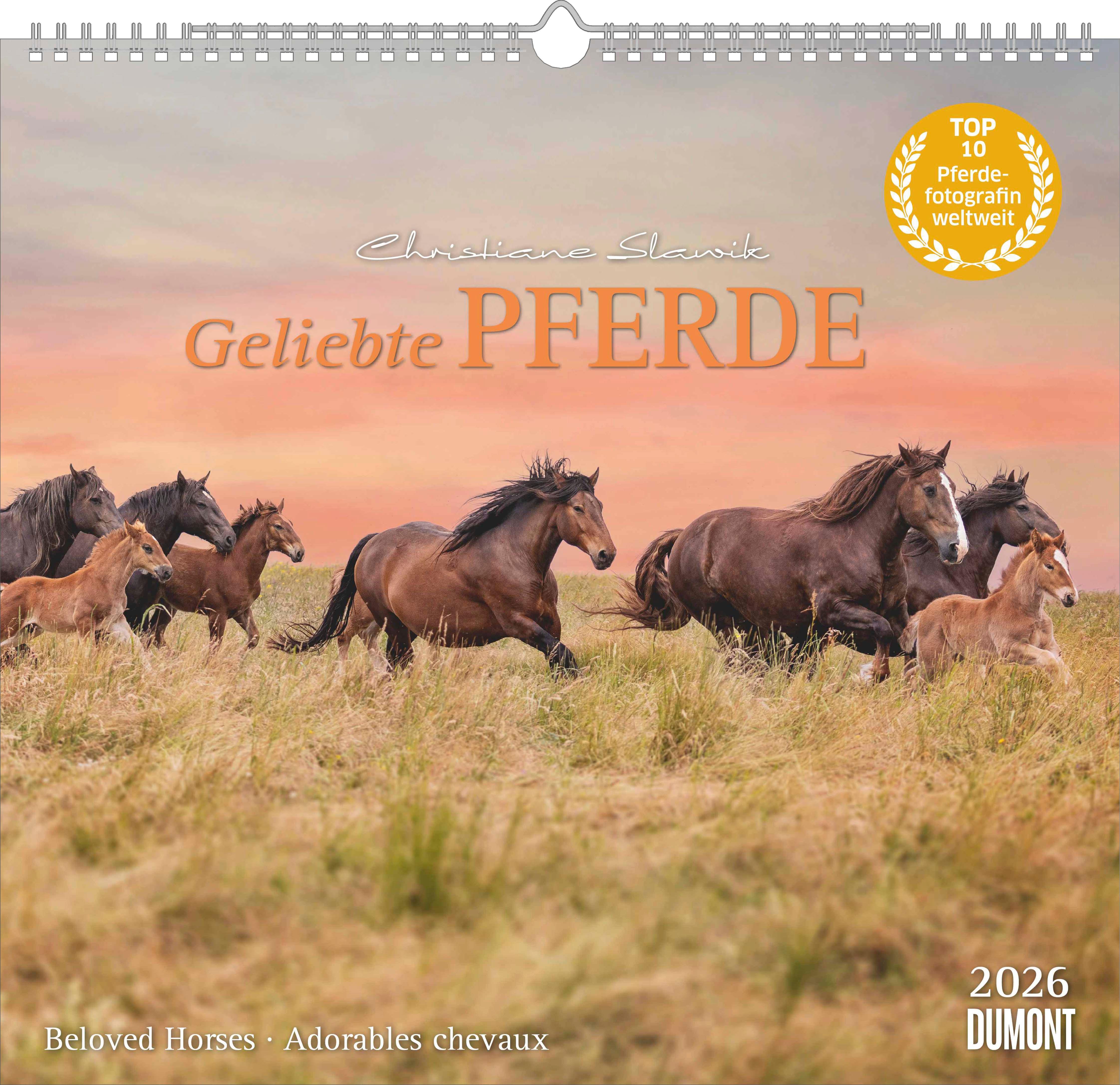 Vorderes Coverbild Geliebte Pferde 2026 - DUMONT-Wandkalender - Pferdefotografie von Christiane Slawik Format - 38,0 x 35,5 cm
