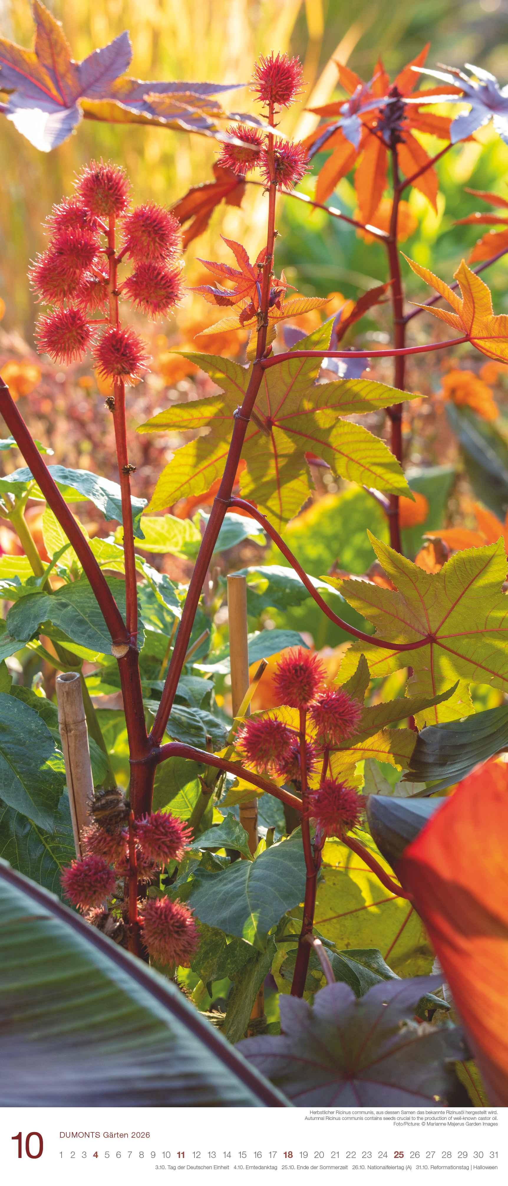 Beispielinhalt (Bild) Gärten 2026 - DUMONT Wandkalender - Garten-Kalender - Hochformat 30 x 70 cm
