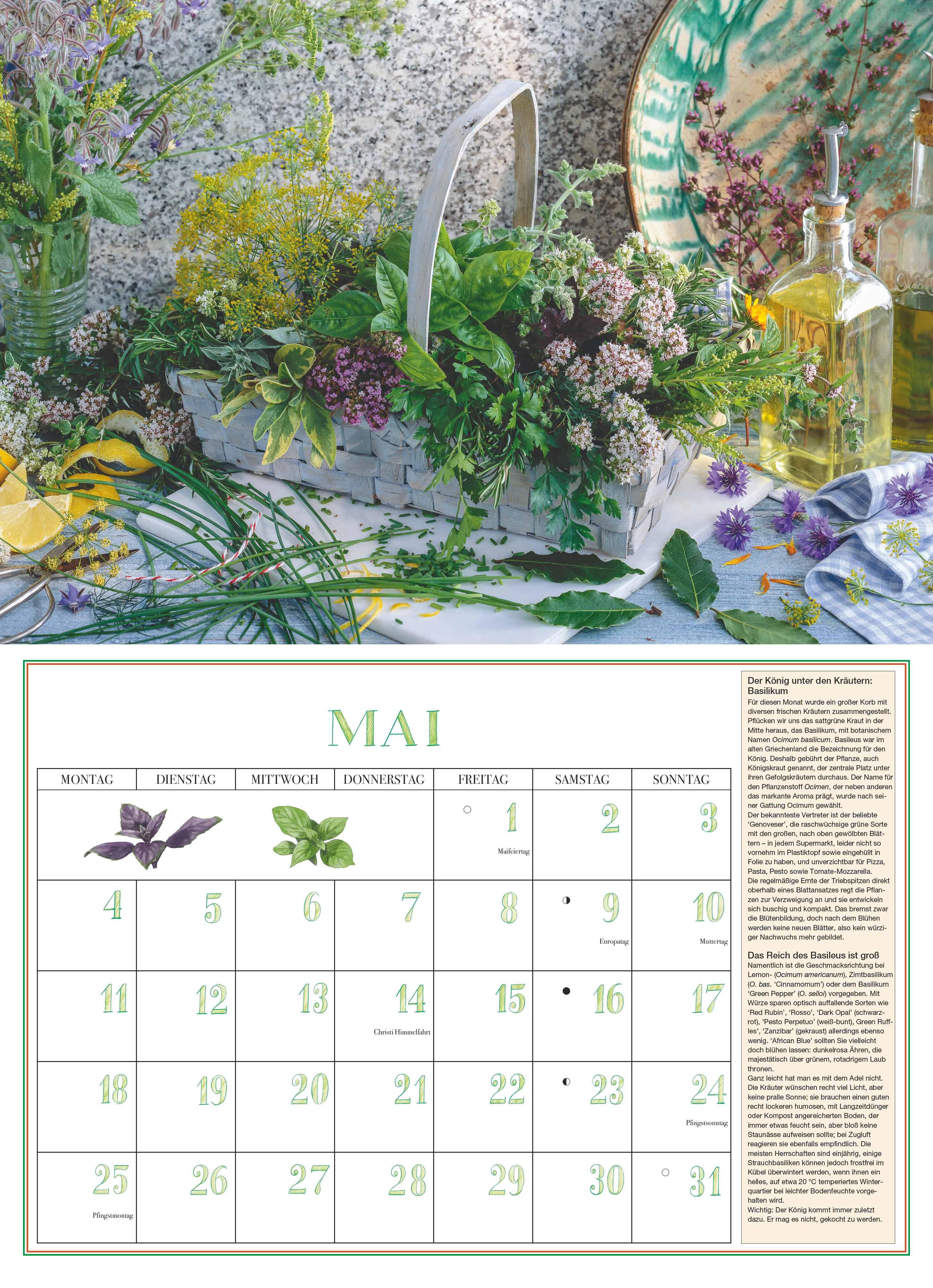 Beispielinhalt (Bild) DUMONTS Aromatische Kräuter 2026 - Broschürenkalender - Wandkalender - mit Rezepten und Texten - Format 42 x 29 cm