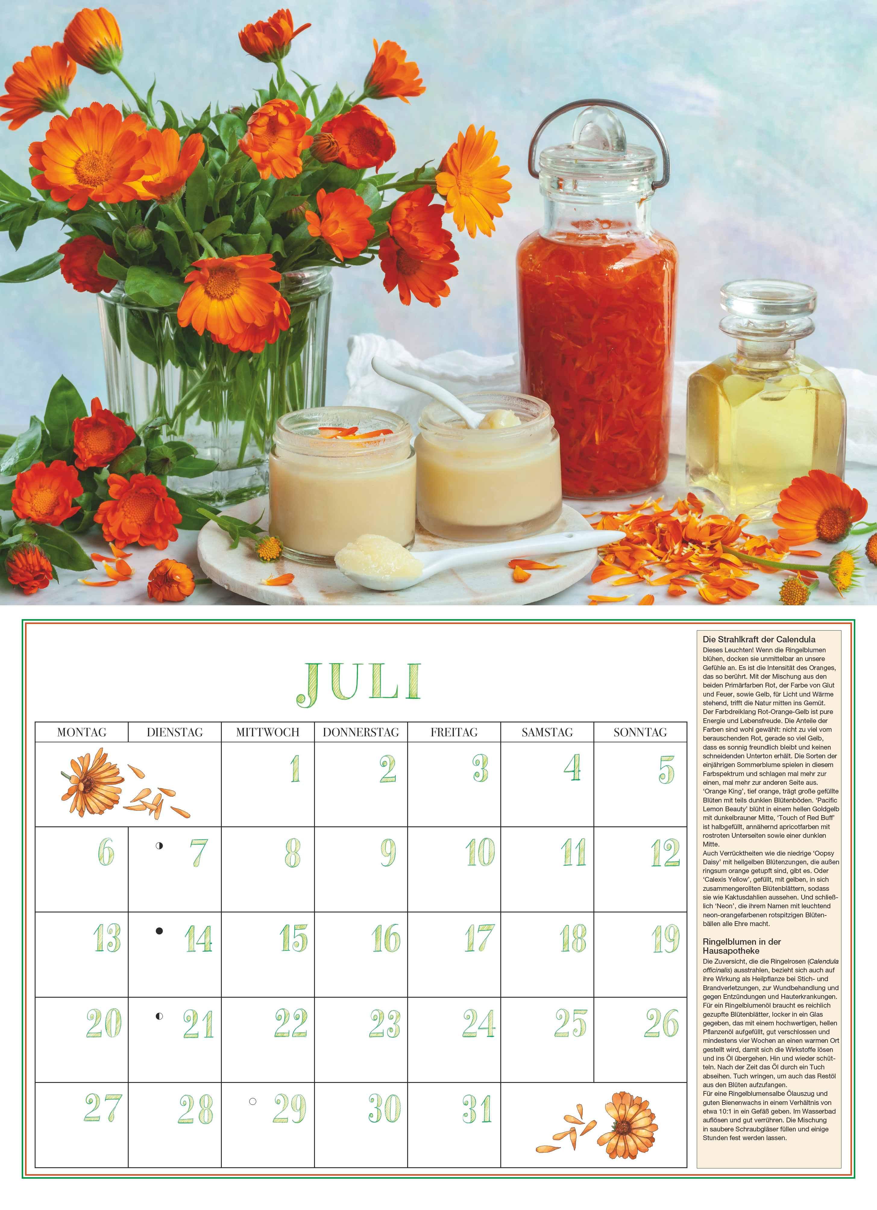 Beispielinhalt (Bild) DUMONTS Aromatische Kräuter 2026 - Broschürenkalender - Wandkalender - mit Rezepten und Texten - Format 42 x 29 cm
