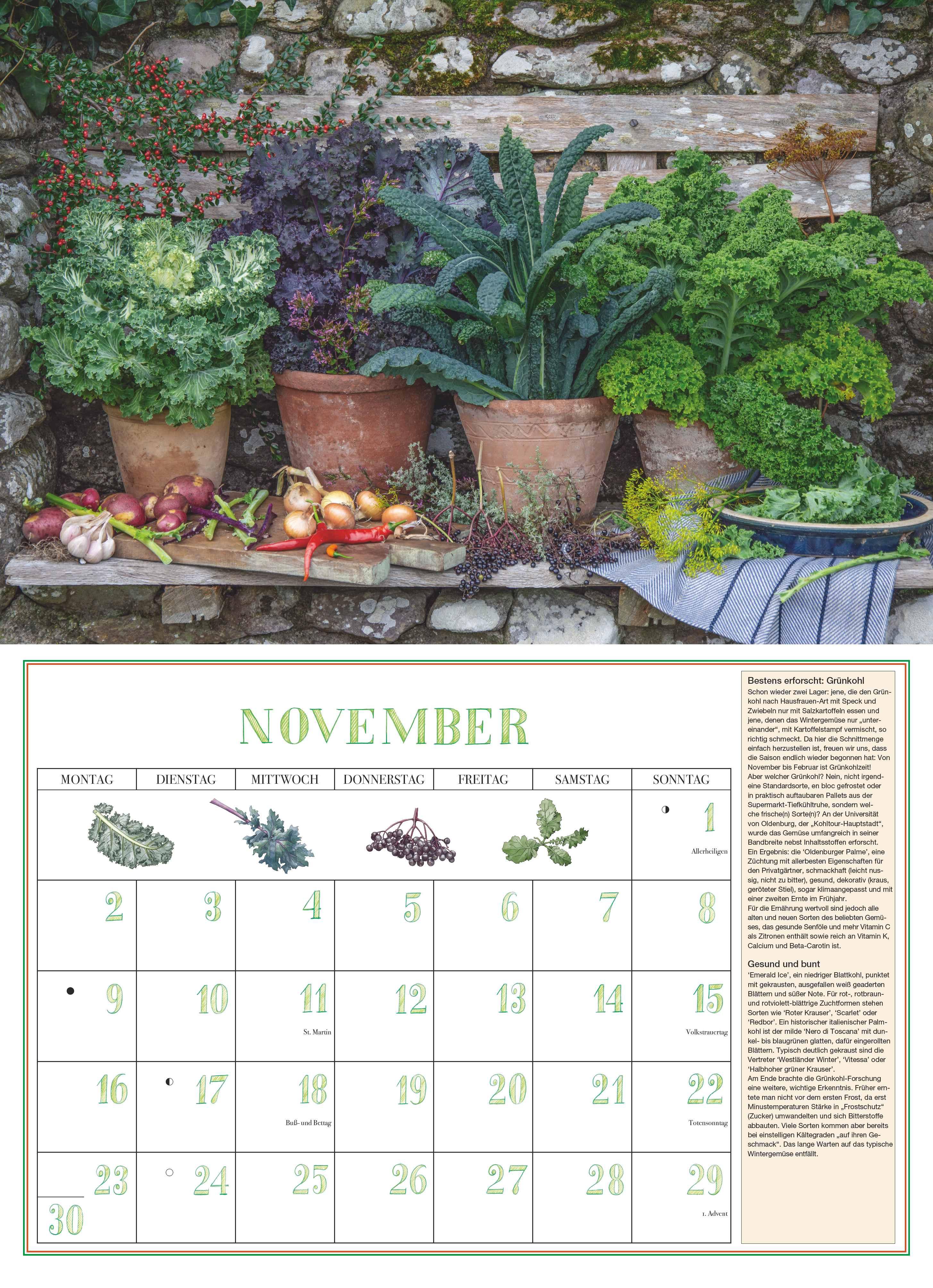 Beispielinhalt (Bild) DUMONTS Aromatische Kräuter 2026 - Broschürenkalender - Wandkalender - mit Rezepten und Texten - Format 42 x 29 cm