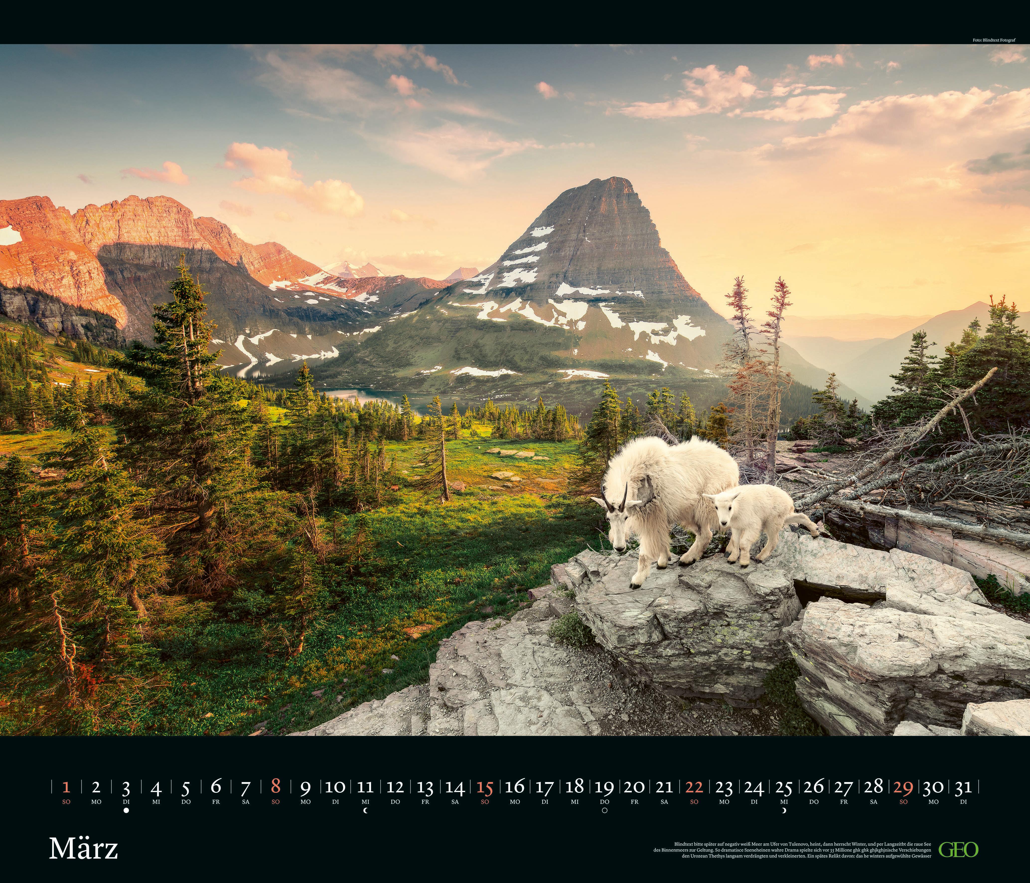 Beispielinhalt (Bild) GEO Edition: Tierwelten 2026 - Wand-Kalender - Tier-Kalender - 70x60