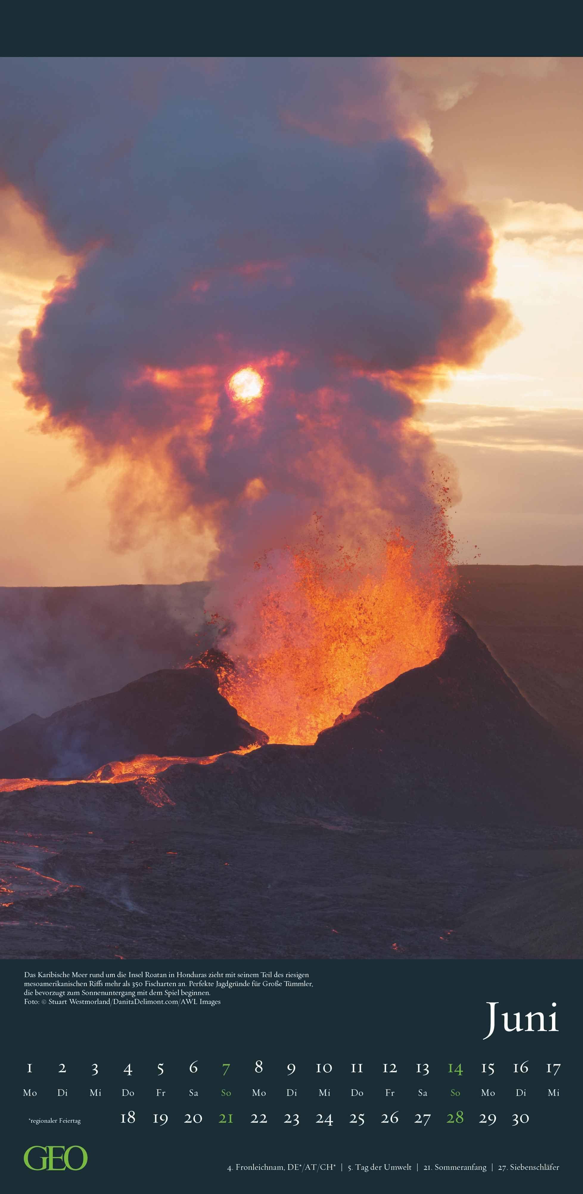 Beispielinhalt (Bild) GEO - Faszination Natur 2026 - Wandkalender 22x45 cm, 12 Monatsblätter mit hochwertigen Naturfotografien, deutsches Kalendarium & Spiralbindung