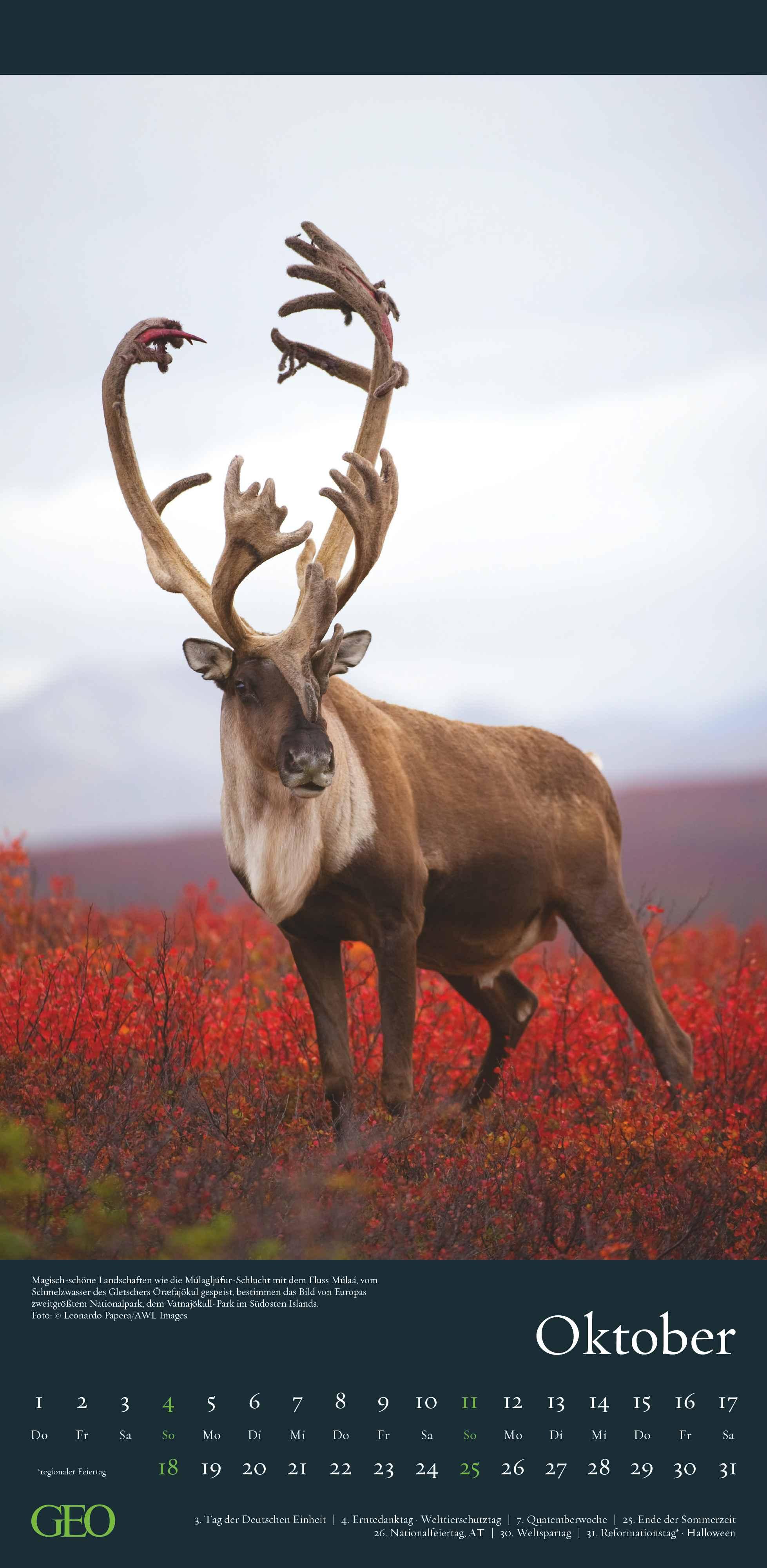Beispielinhalt (Bild) GEO - Faszination Natur 2026 - Wandkalender 22x45 cm, 12 Monatsblätter mit hochwertigen Naturfotografien, deutsches Kalendarium & Spiralbindung