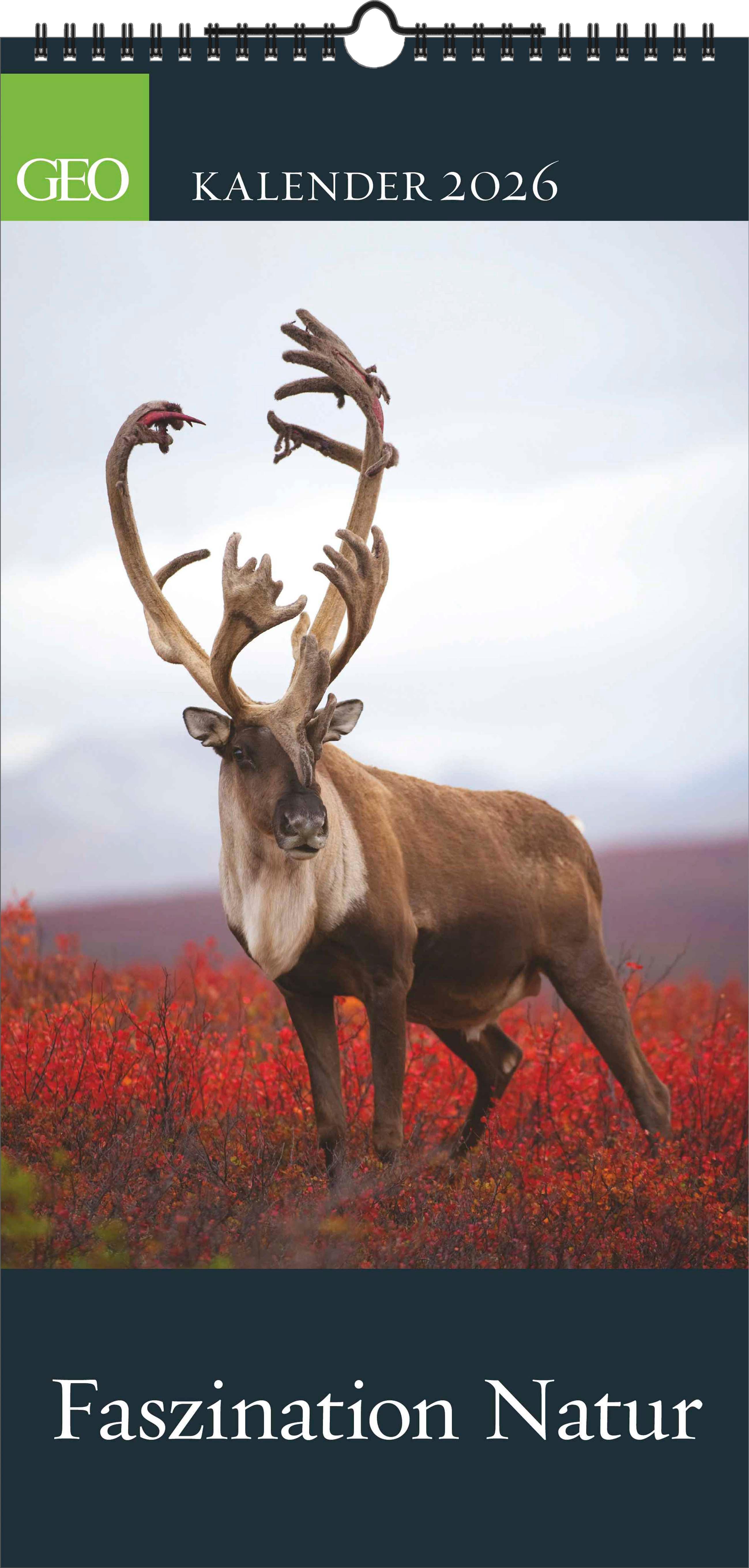 Vorderes Coverbild GEO - Faszination Natur 2026 - Wandkalender 22x45 cm, 12 Monatsblätter mit hochwertigen Naturfotografien, deutsches Kalendarium & Spiralbindung