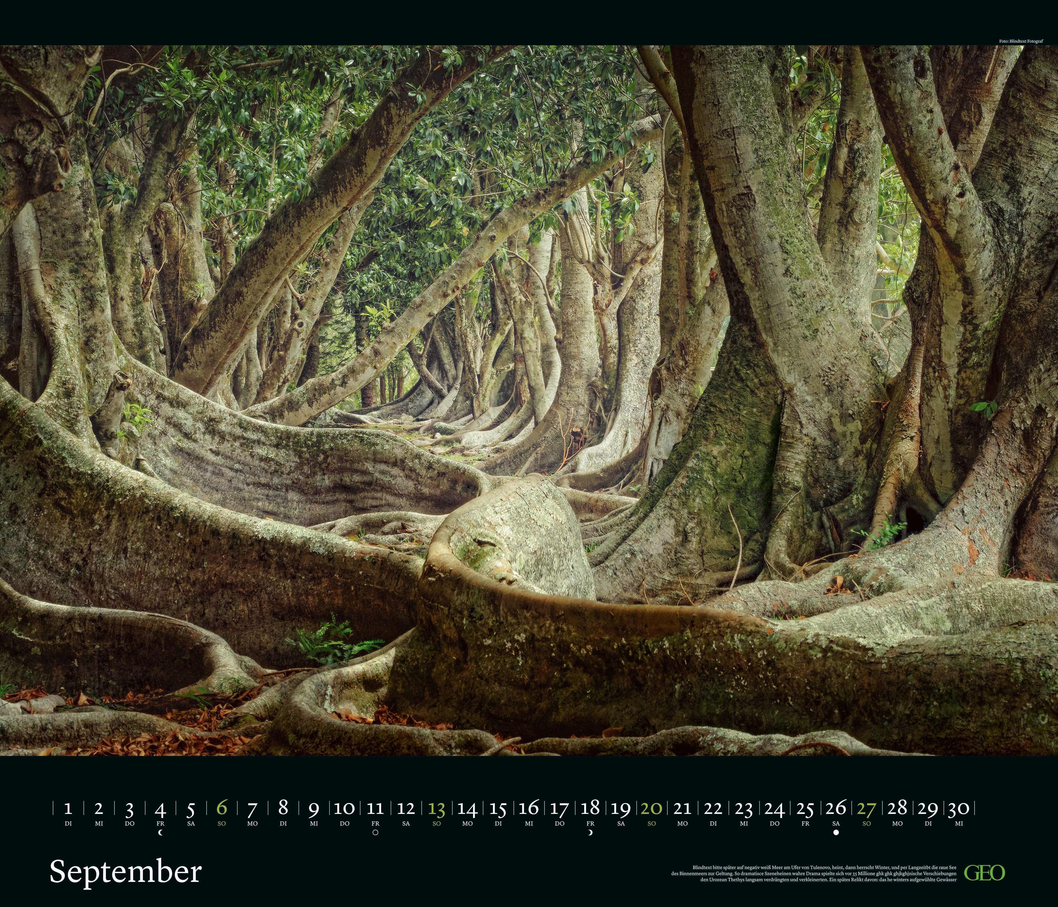Beispielinhalt (Bild) GEO Edition: Kräfte der Natur 2026 - Wand-Kalender - Poster-Kalender - 70x60