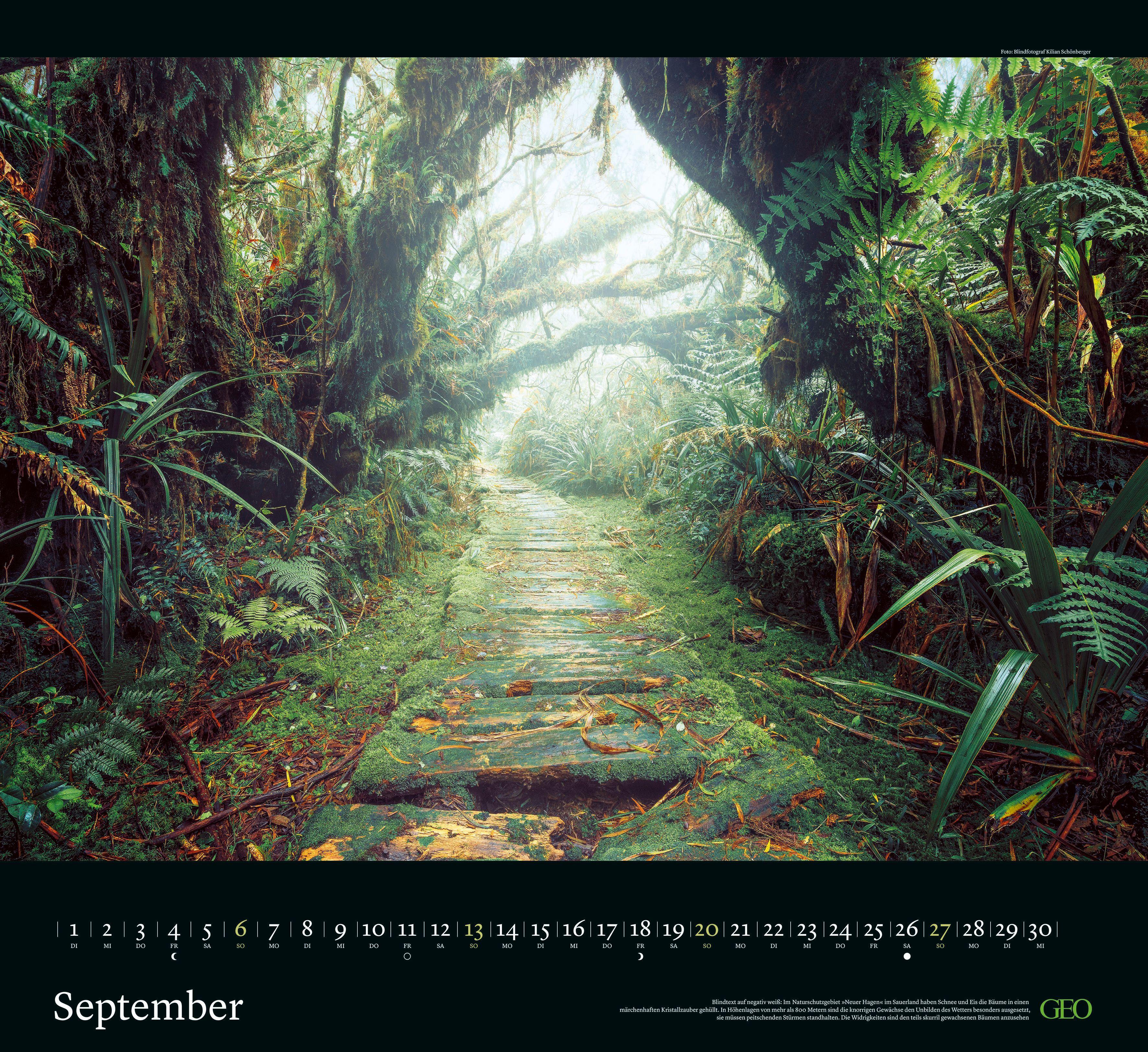 Beispielinhalt (Bild) GEO Klassiker: Traumpfade 2026 - Wand-Kalender - Reise-Kalender - 60x55