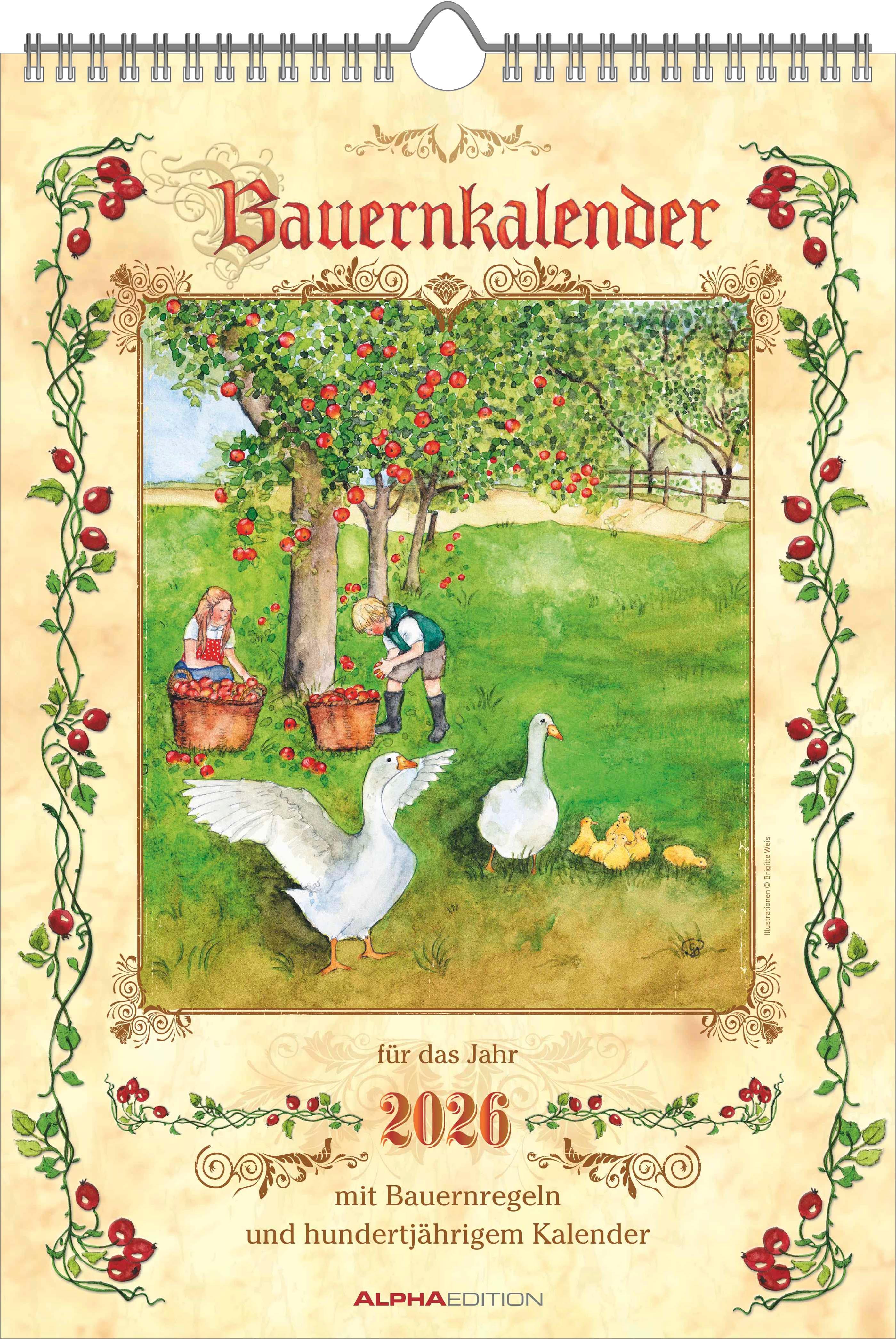 Vorderes Coverbild Bauernkalender 2026 - Bildkalender 23,7x34 cm - mit Wetterprognosen, Bauernregeln und liebevollen Illustrationen - Wandkalender - Alpha Edition