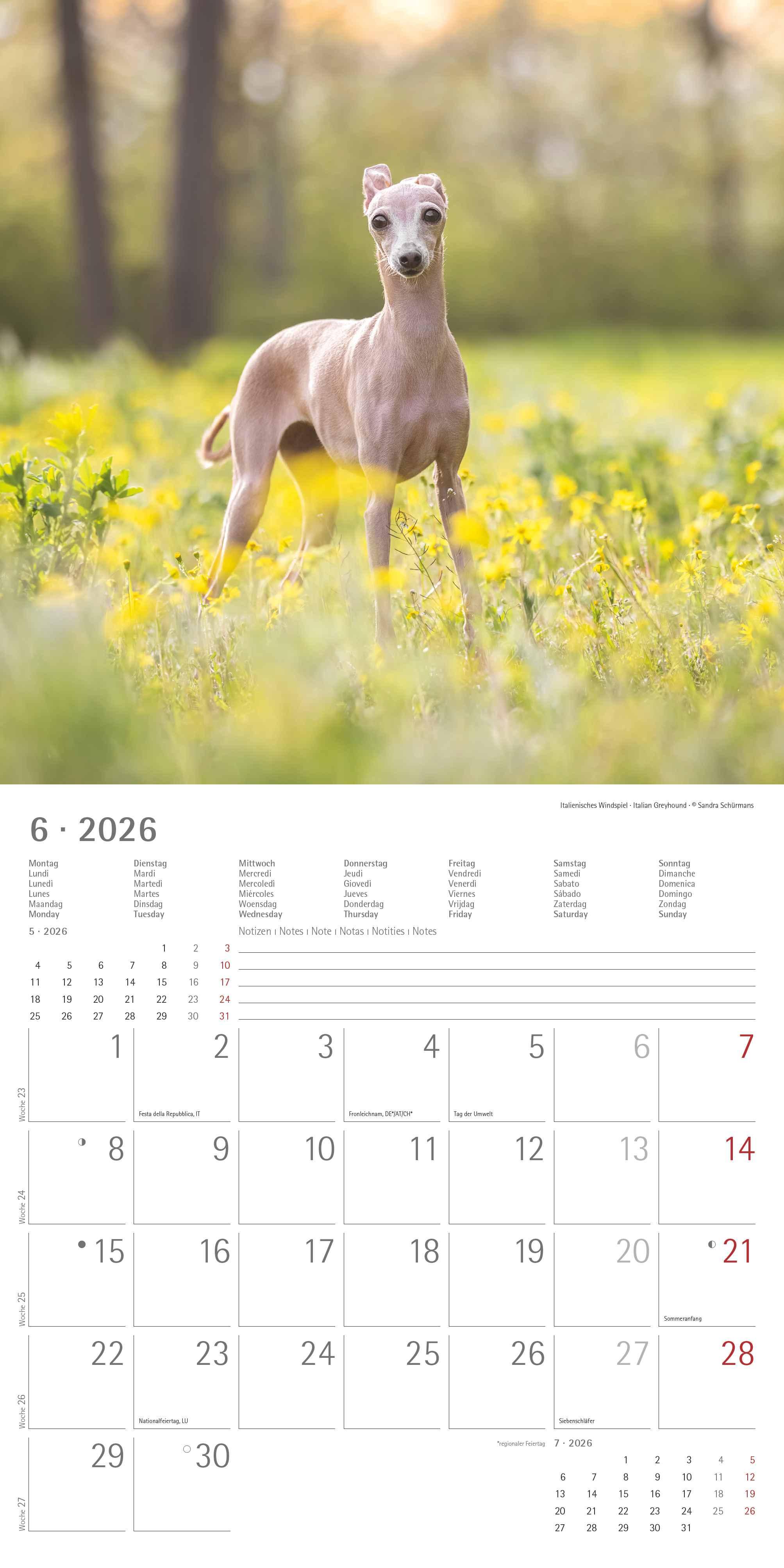 Beispielinhalt (Bild) Welpen 2026 - Broschürenkalender 30x30 cm (30x60 geöffnet) - Kalender mit Platz für Notizen - Puppies - Hundekalender - Bildkalender - Wandkalender
