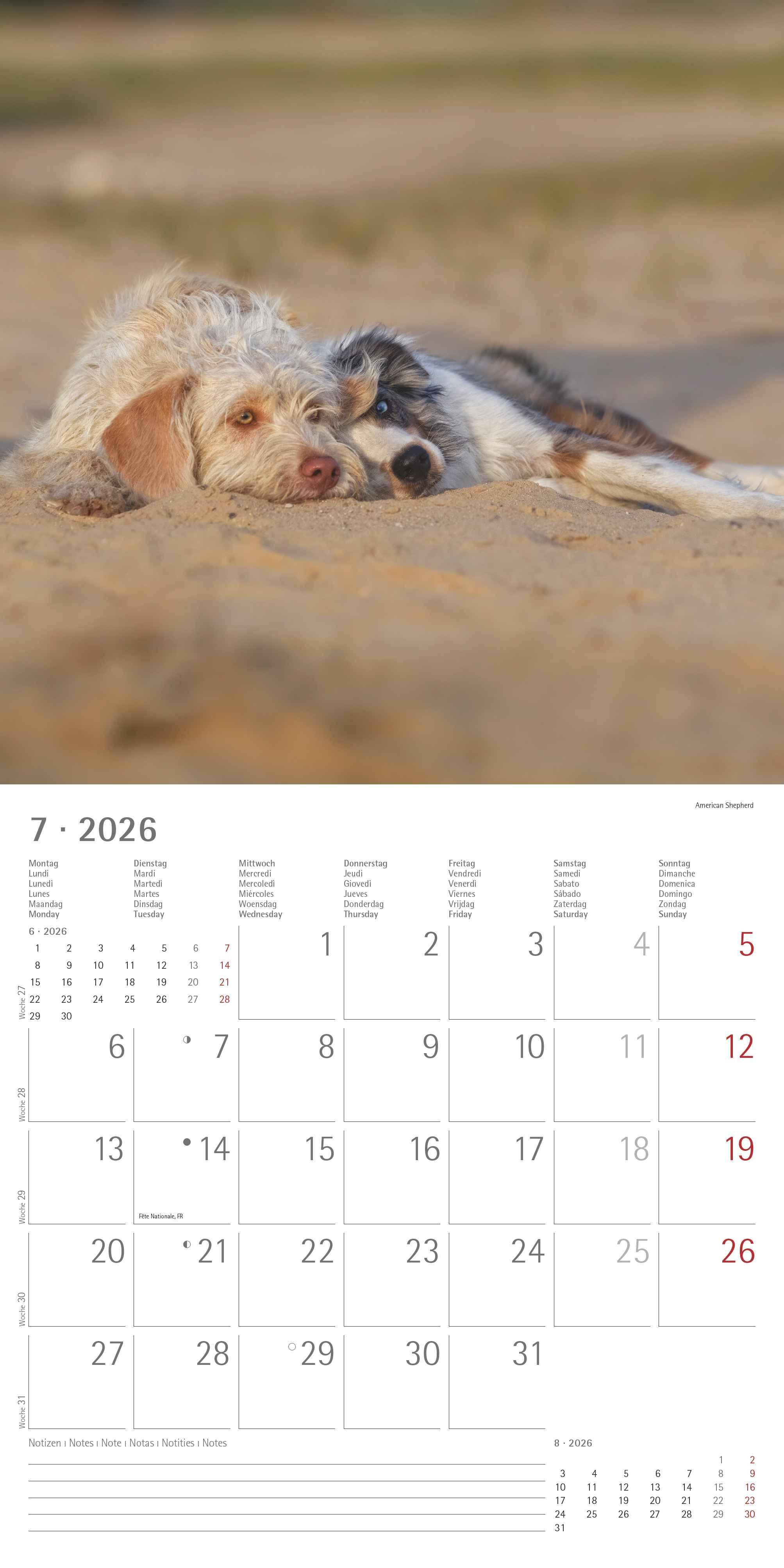 Beispielinhalt (Bild) Welpen 2026 - Broschürenkalender 30x30 cm (30x60 geöffnet) - Kalender mit Platz für Notizen - Puppies - Hundekalender - Bildkalender - Wandkalender