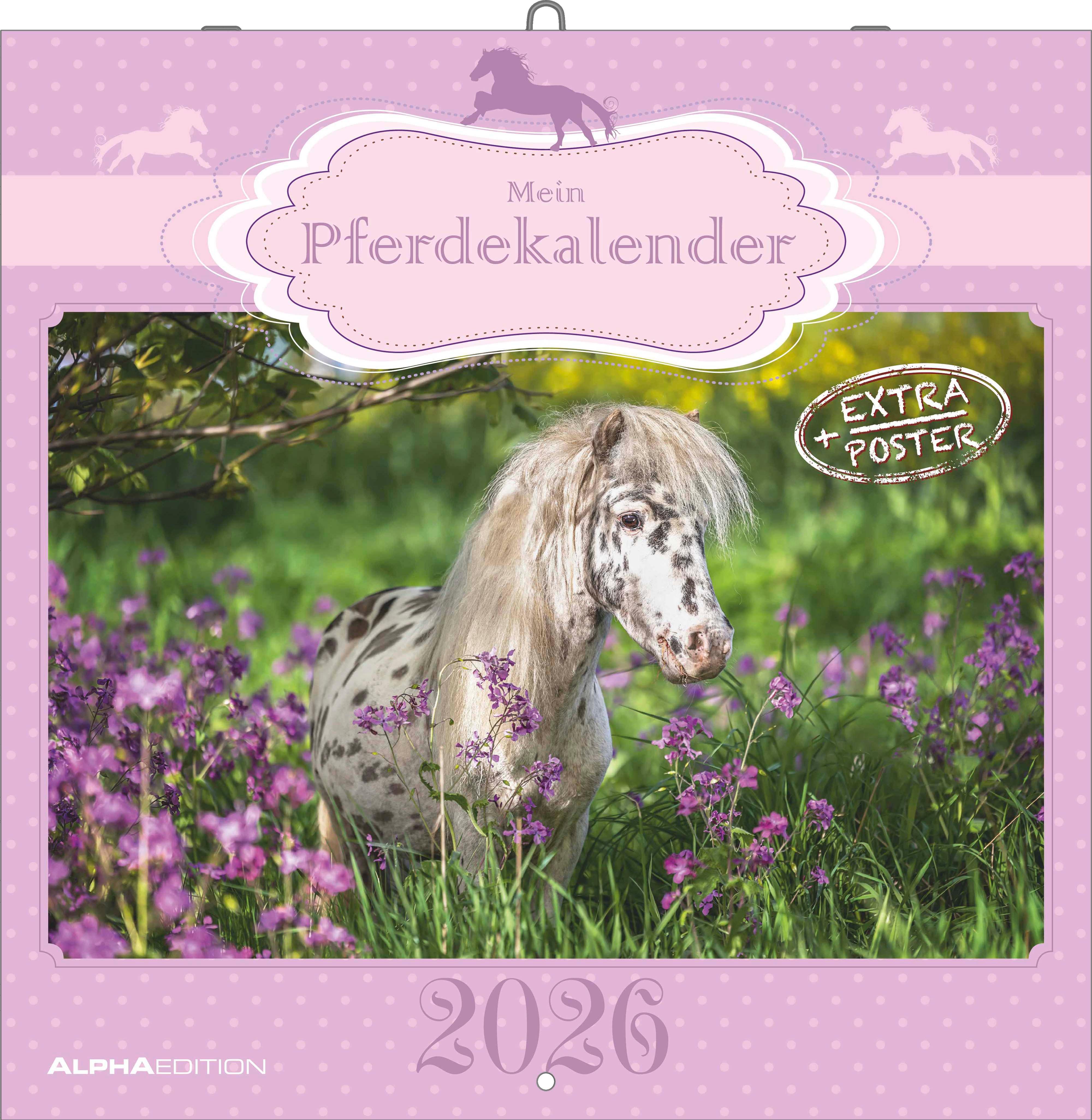 Vorderes Coverbild Mein Pferdekalender 2026 - Broschürenkalender 30x30 cm (30x60 geöffnet) - Kalender mit Platz für Notizen - Bildkalender - Wandplaner - Wandkalender