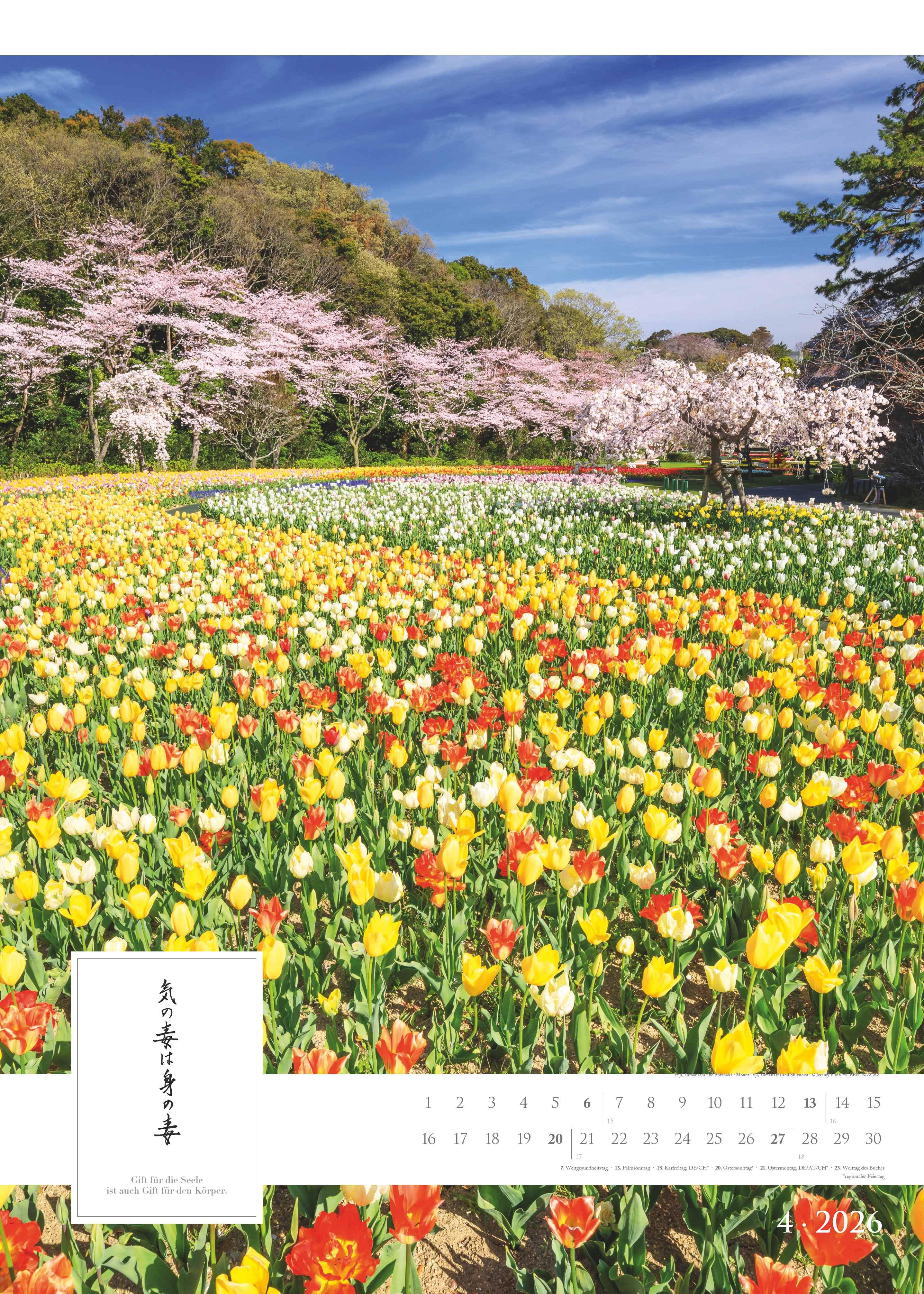 Beispielinhalt (Bild) Spirit of Japan 2026 - Bildkalender XXL 50x70 cm - mit japanischer Kalligraphie, inkl. Übersetzung - Landschaftskalender - Wandkalender - Wandplaner