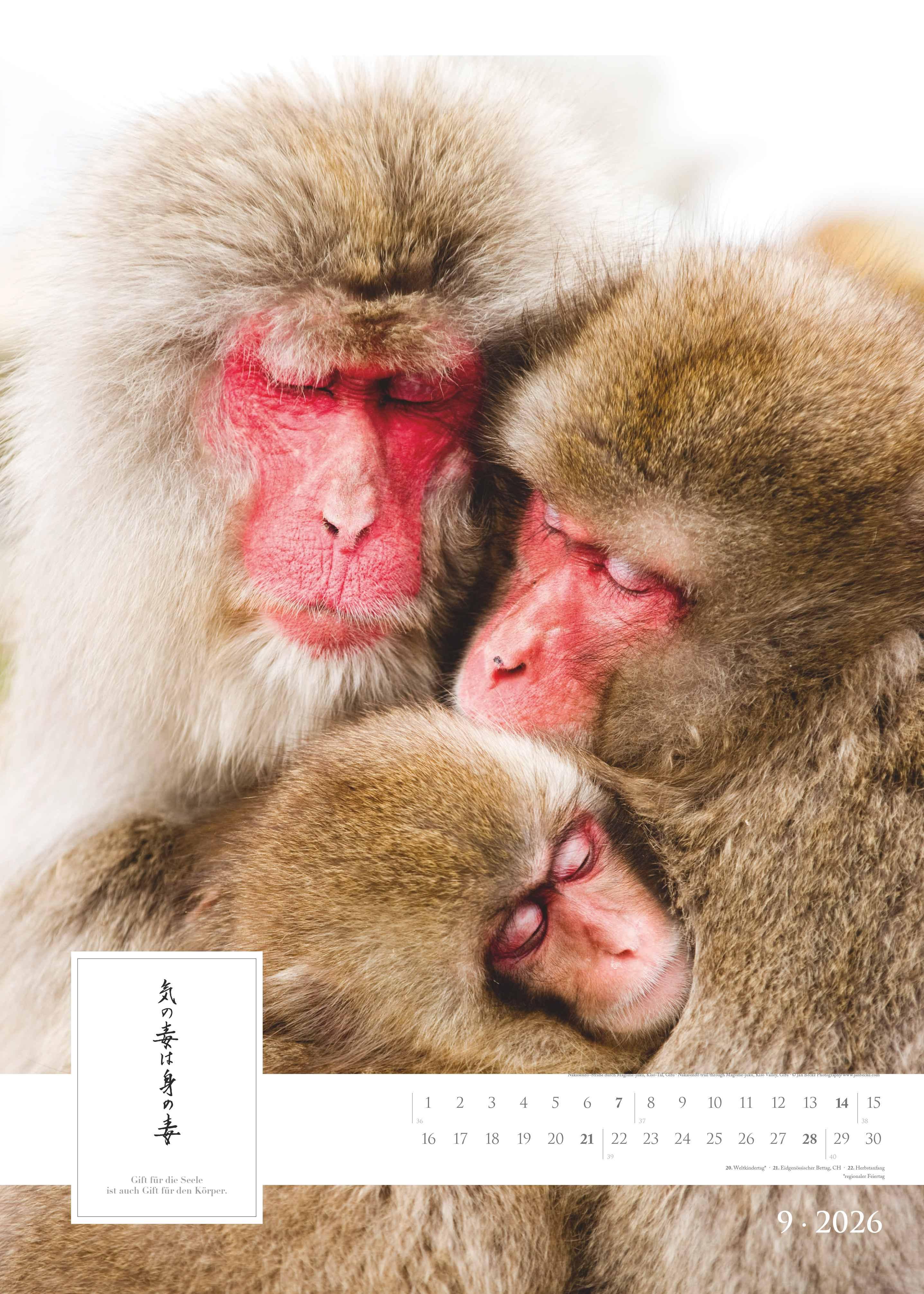 Beispielinhalt (Bild) Spirit of Japan 2026 - Bildkalender XXL 50x70 cm - mit japanischer Kalligraphie, inkl. Übersetzung - Landschaftskalender - Wandkalender - Wandplaner