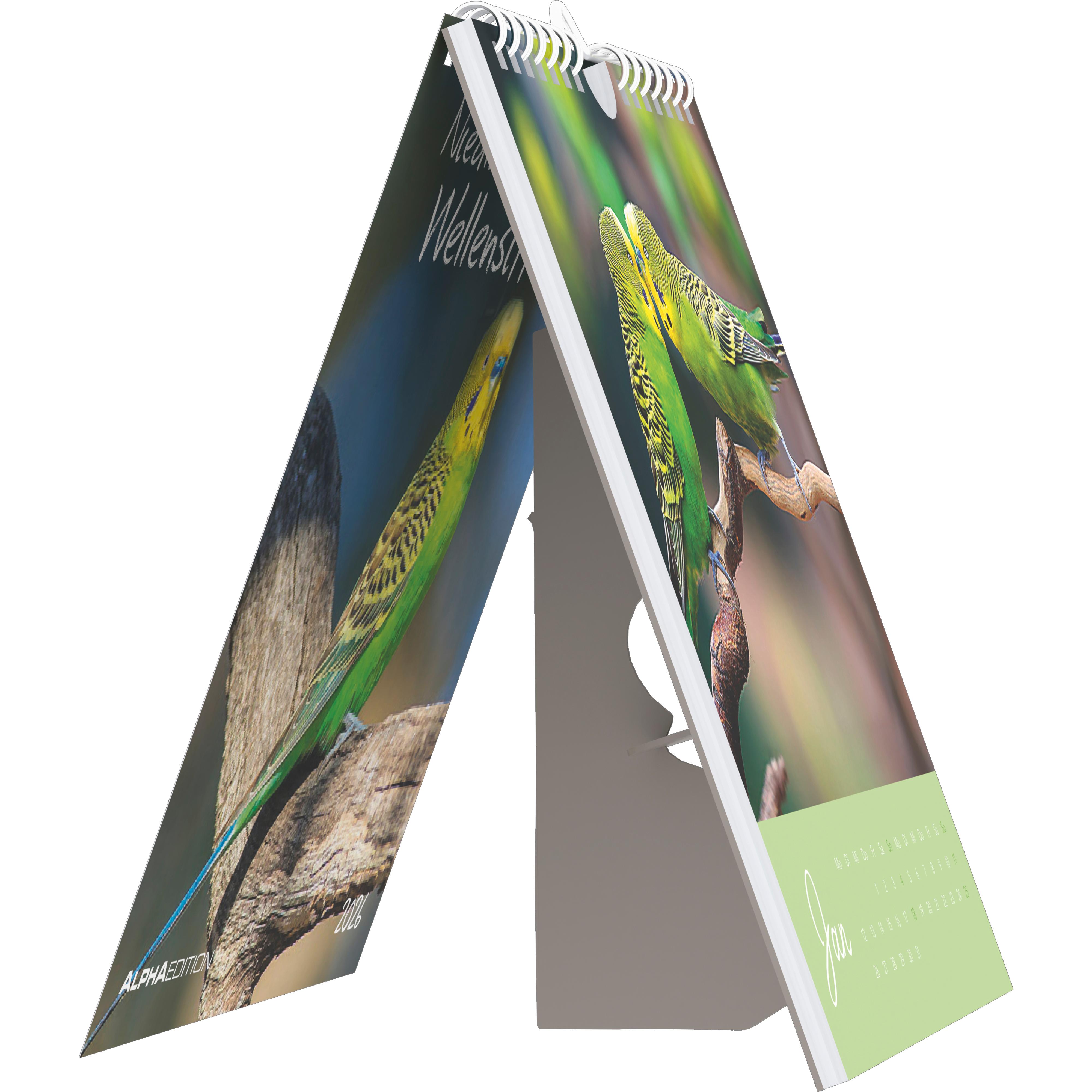 Beispielinhalt (Bild) Niedliche Wellensittiche 2026 - Postkartenkalender 16x17 cm - Budgies - zum Aufstellen oder Aufhängen - Monatskalendarium - Gadget - Mitbringsel - Alpha Edition