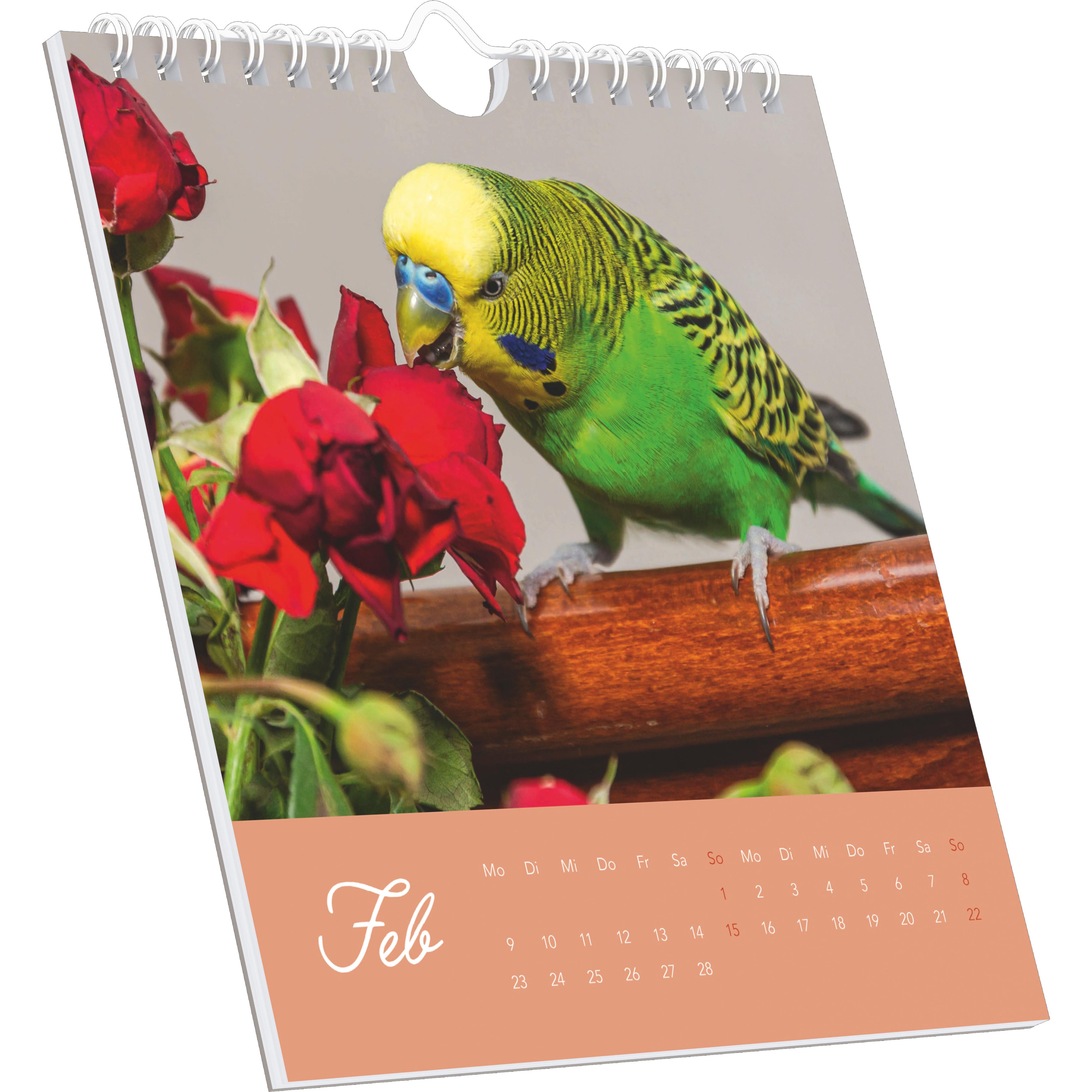 Beispielinhalt (Bild) Niedliche Wellensittiche 2026 - Postkartenkalender 16x17 cm - Budgies - zum Aufstellen oder Aufhängen - Monatskalendarium - Gadget - Mitbringsel - Alpha Edition