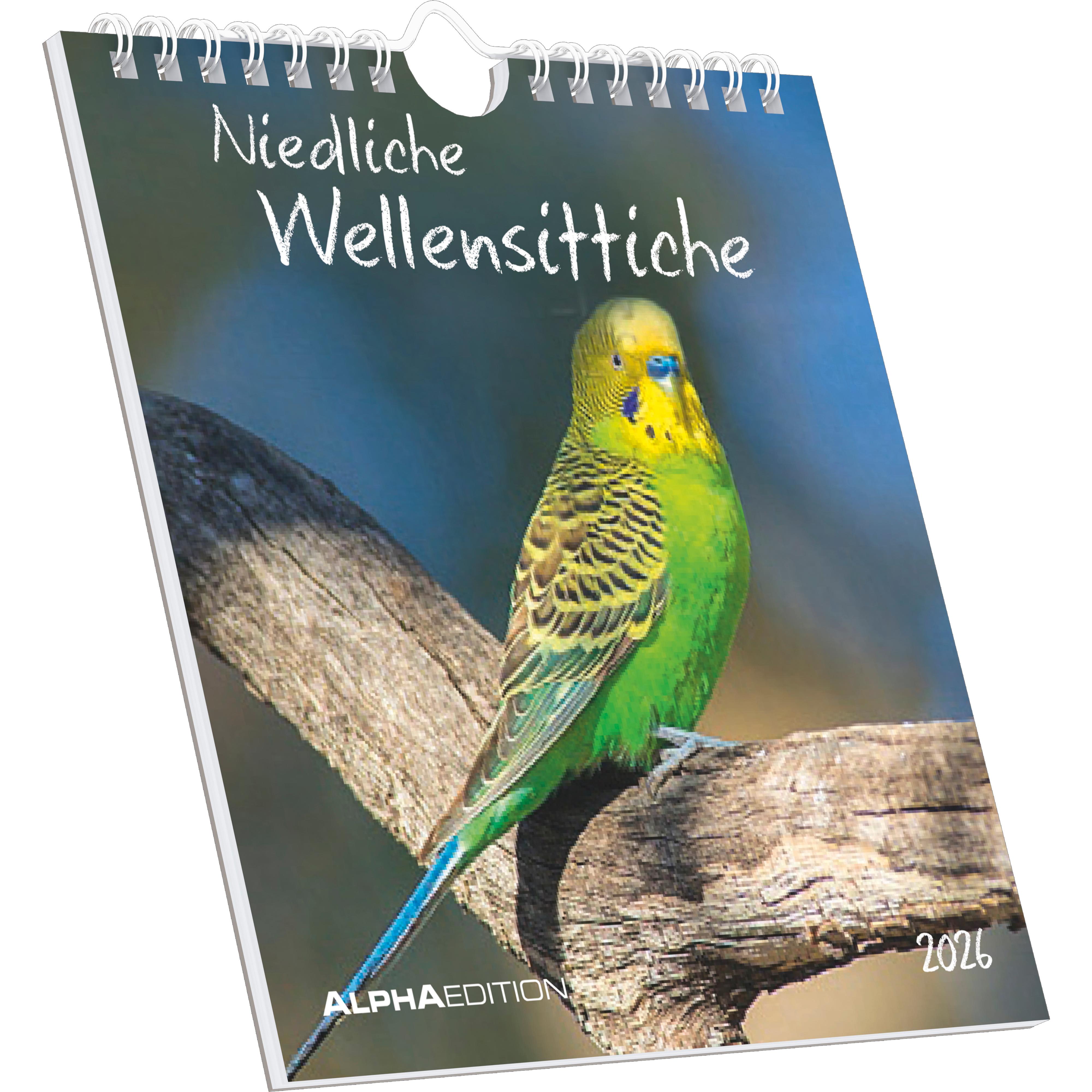 Vorderes Coverbild Niedliche Wellensittiche 2026 - Postkartenkalender 16x17 cm - Budgies - zum Aufstellen oder Aufhängen - Monatskalendarium - Gadget - Mitbringsel - Alpha Edition