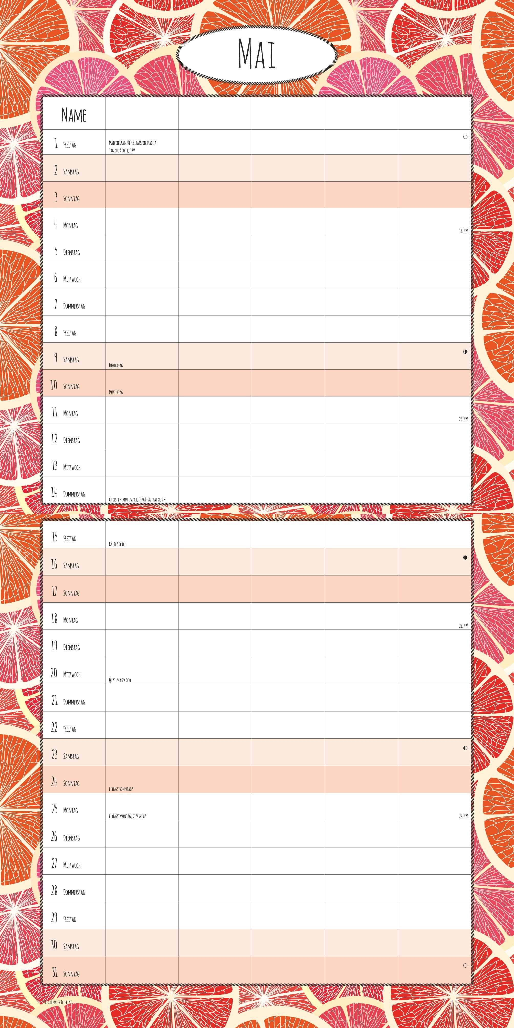 Beispielinhalt (Bild) Familienplaner Deluxe 2026 - Broschürenkalender 30x30 cm (30x60 geöffnet) - Kalender mit Platz für Notizen - 5 Spalten - Bildkalender - Wandkalender