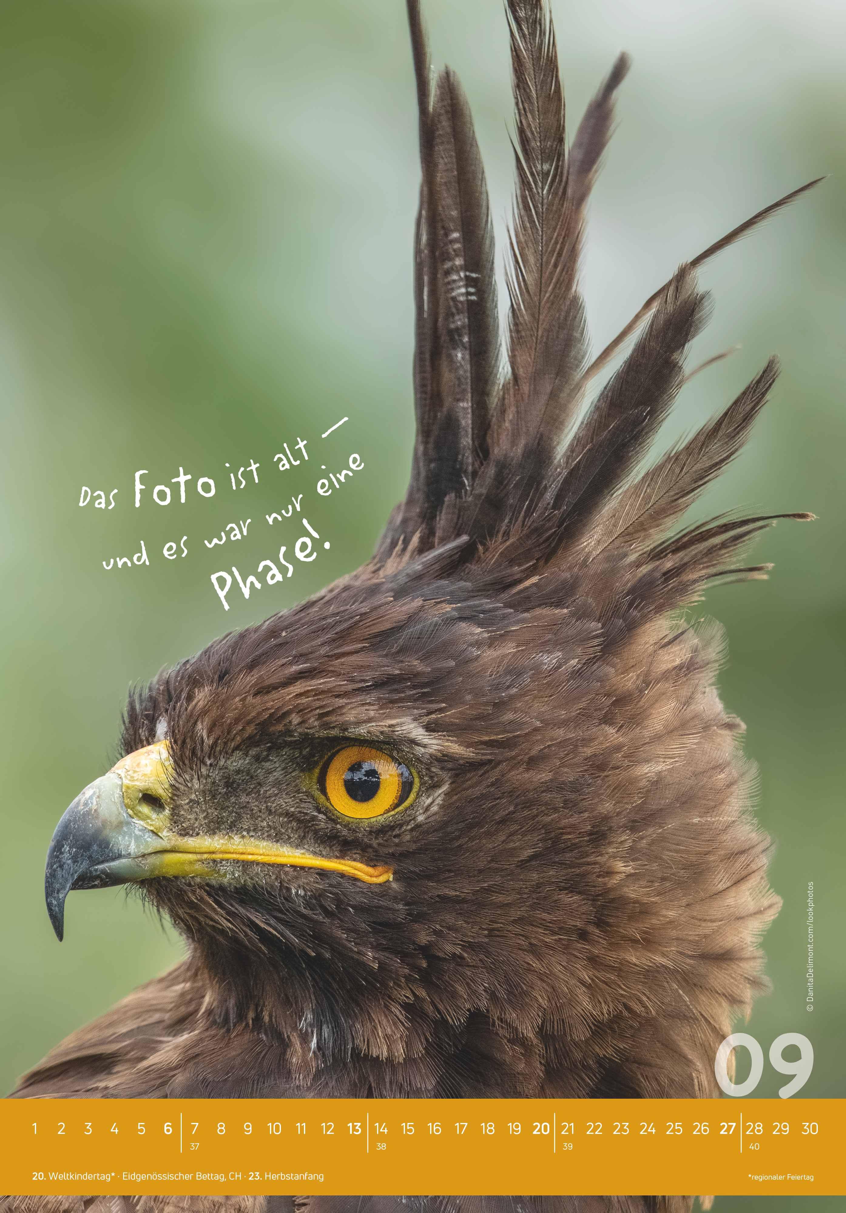 Beispielinhalt (Bild) Tierisch cool! 2026 - Bild-Kalender 23,7x34 cm - mit lustigen Sprüchen - Humor - Wandkalender - mit Platz für Notizen - Alpha Edition