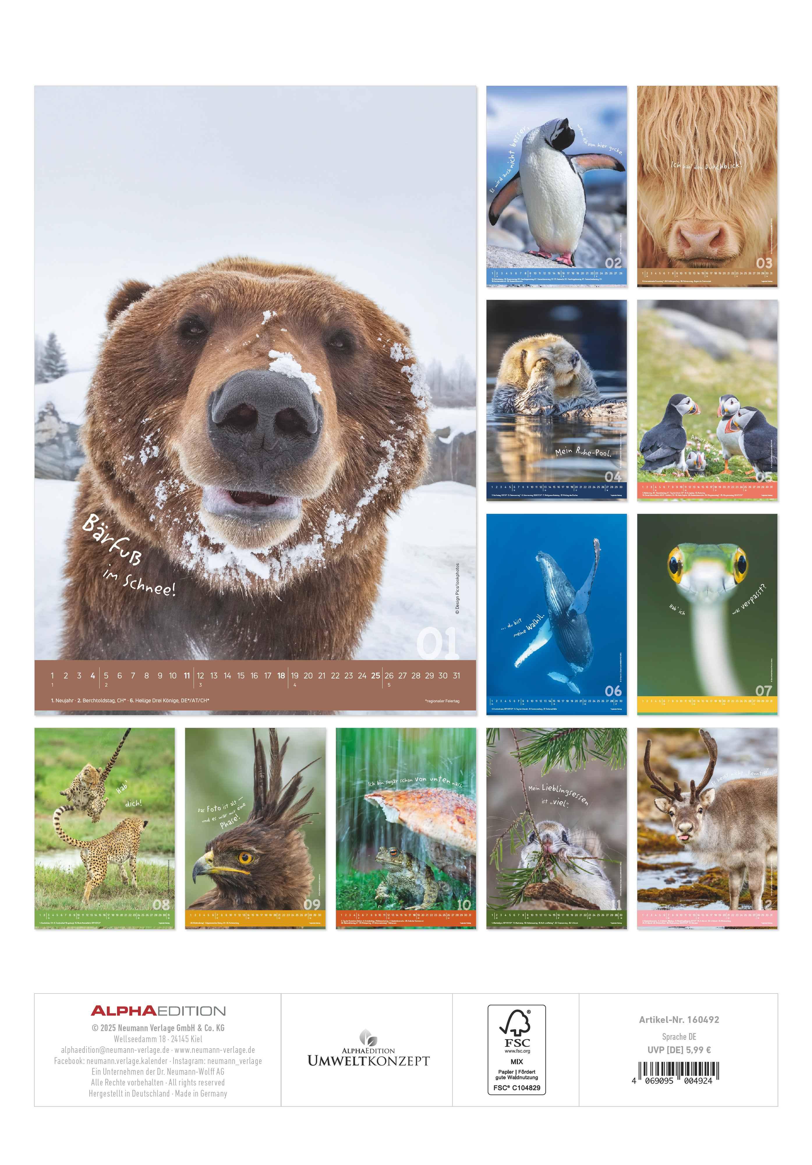 Rückseitencover Tierisch cool! 2026 - Bild-Kalender 23,7x34 cm - mit lustigen Sprüchen - Humor - Wandkalender - mit Platz für Notizen - Alpha Edition