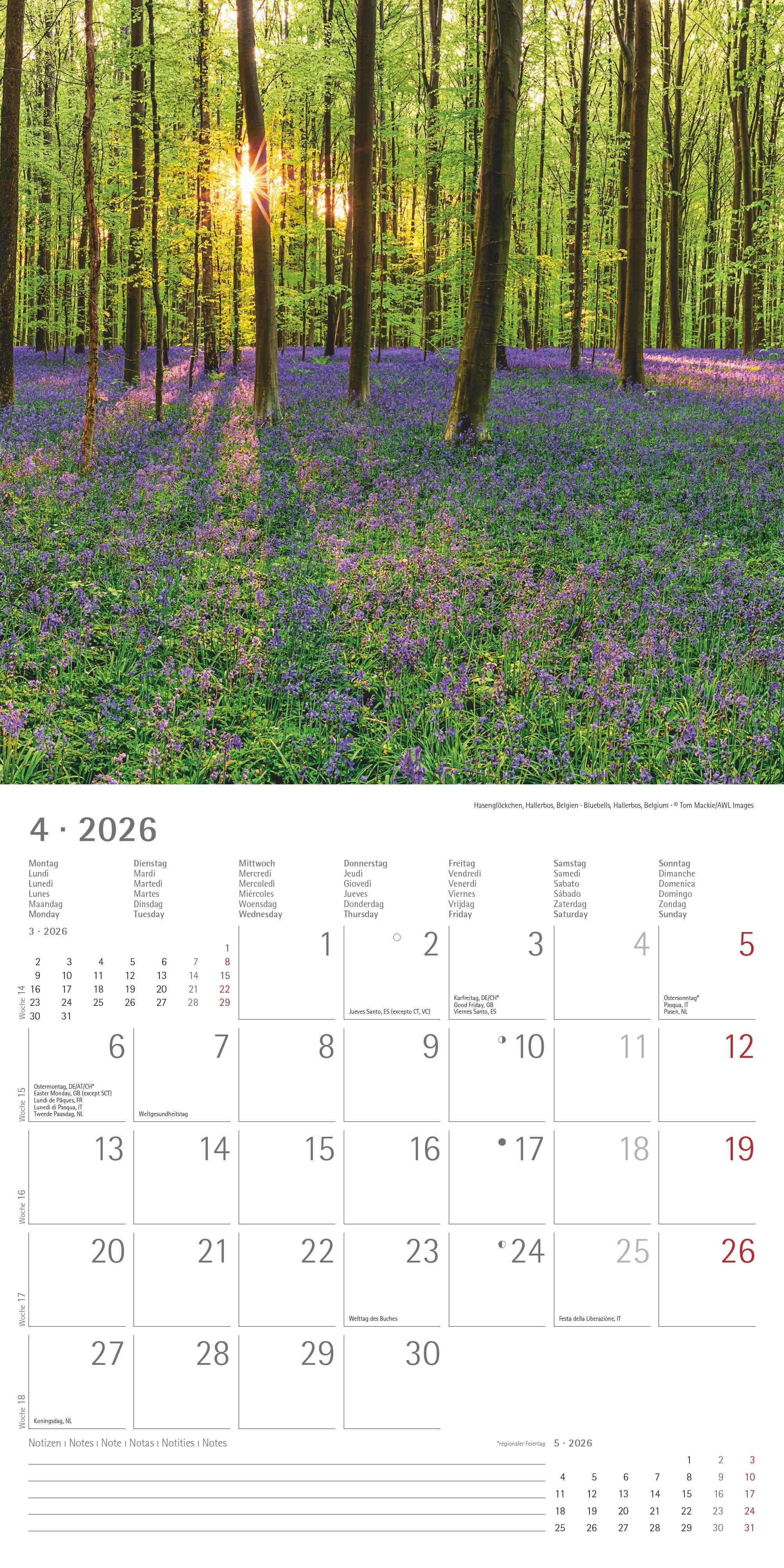 Beispielinhalt (Bild) Emotions 2026 - Broschürenkalender 30x30 cm (30x60 geöffnet) - Kalender mit Platz für Notizen - Emotionen - Bildkalender - Wandplaner - Wandkalender
