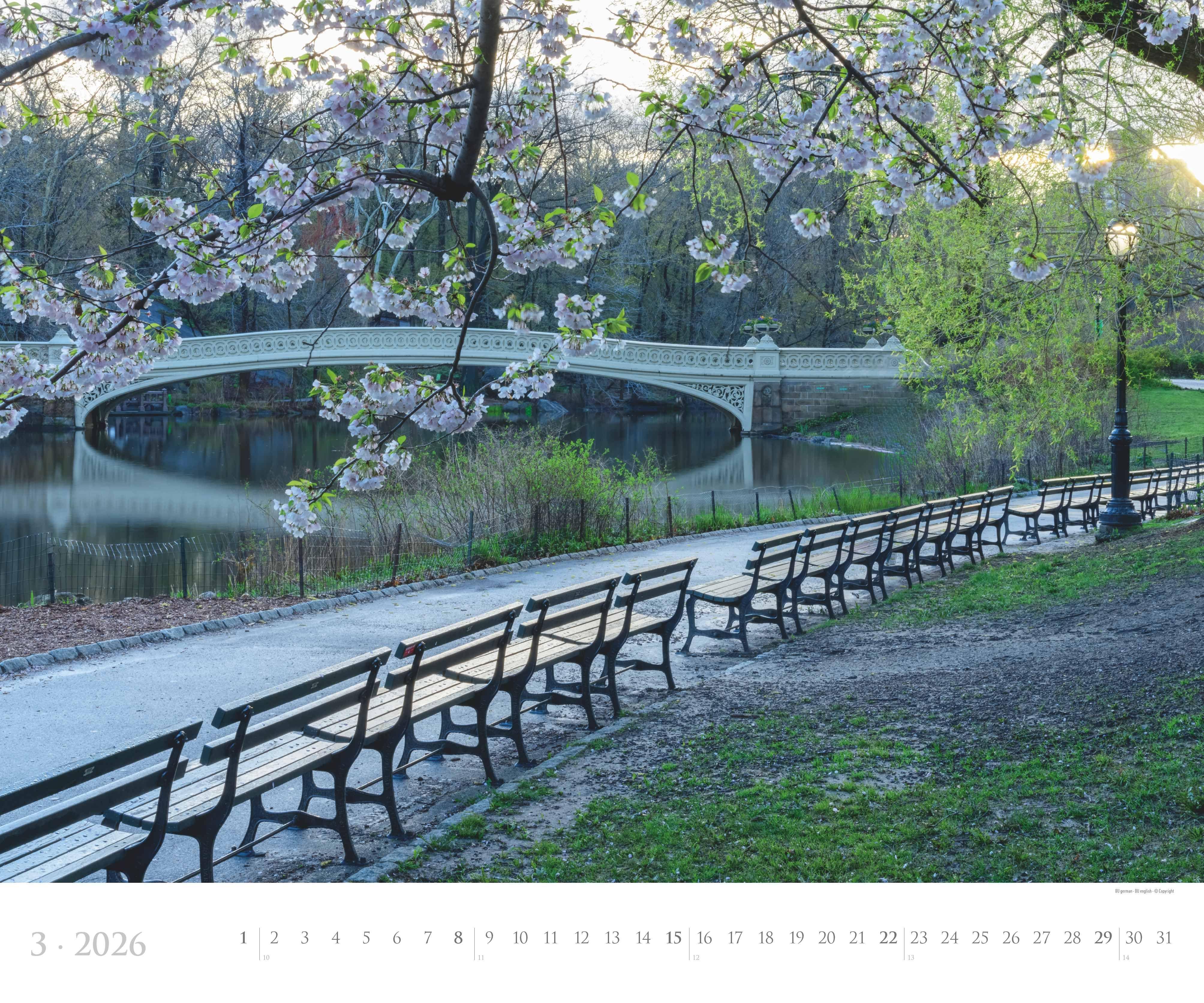 Beispielinhalt (Bild) New York 2026  - Städte-Reise-Kalender - Querformat 60 x 50 cm - Spiralbindung