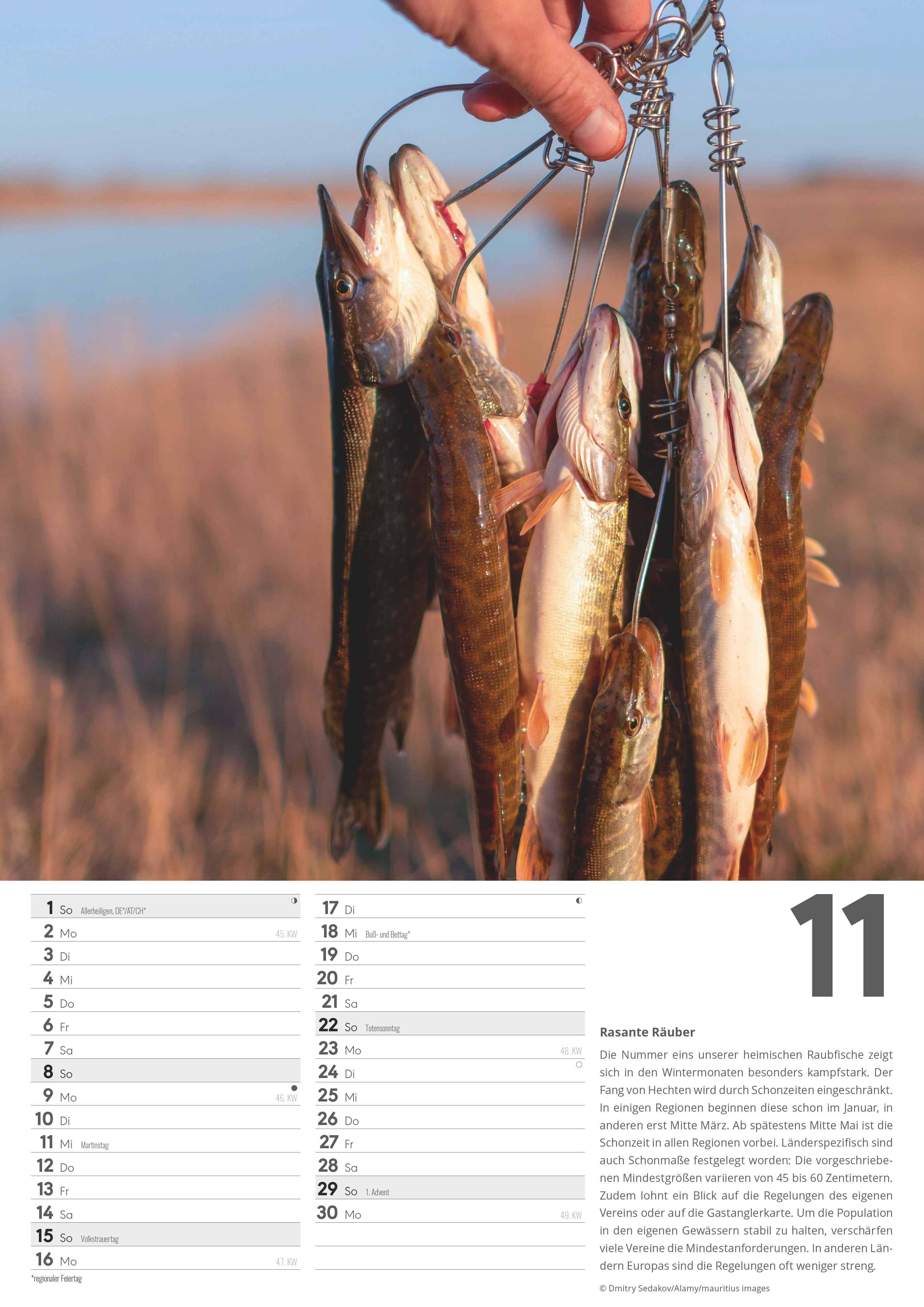 Beispielinhalt (Bild) Der große Angelkalender 2026 - Bildkalender A3 (29,7x42 cm) - mit vielen Zusatzinformationen aus der Anglerwelt und Platz für Notizen - Wandkalender