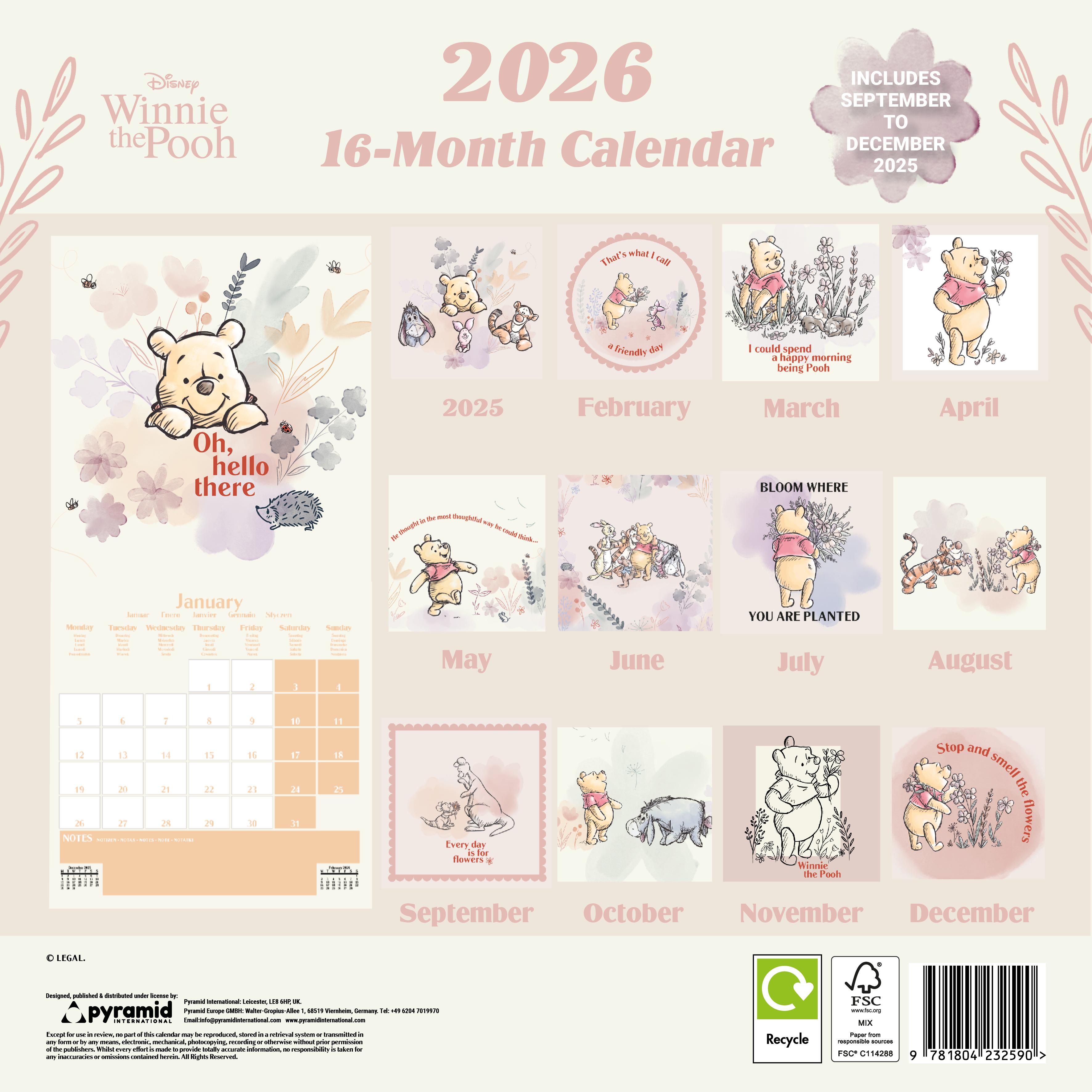 Rückseitencover WINNIE THE POOH Broschürenkalender 30 x 30