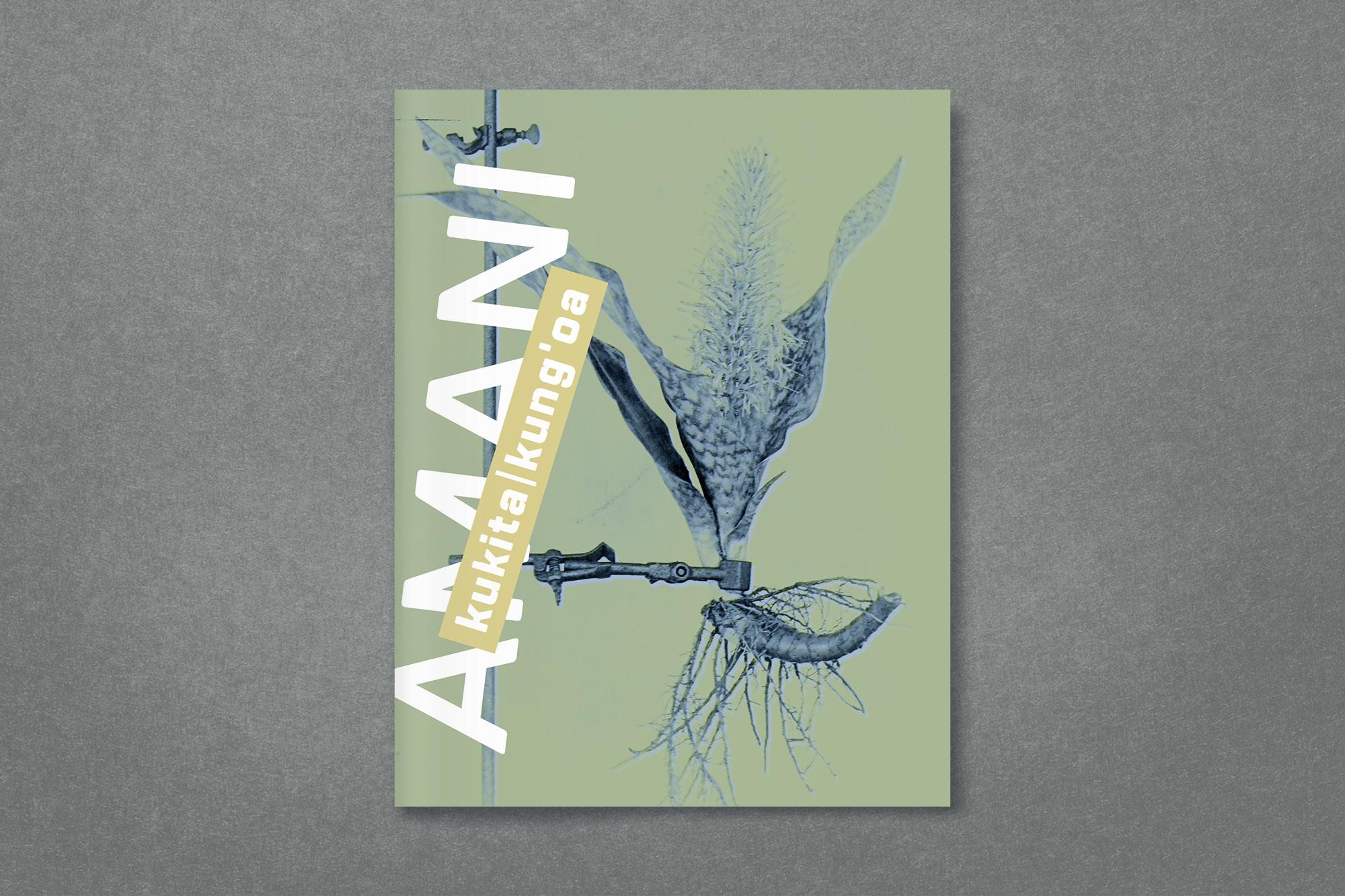 Beispielinhalt (Bild) Amani