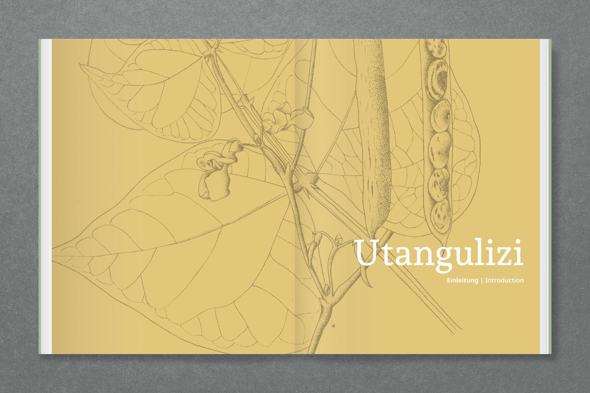 Beispielinhalt (Bild) Amani