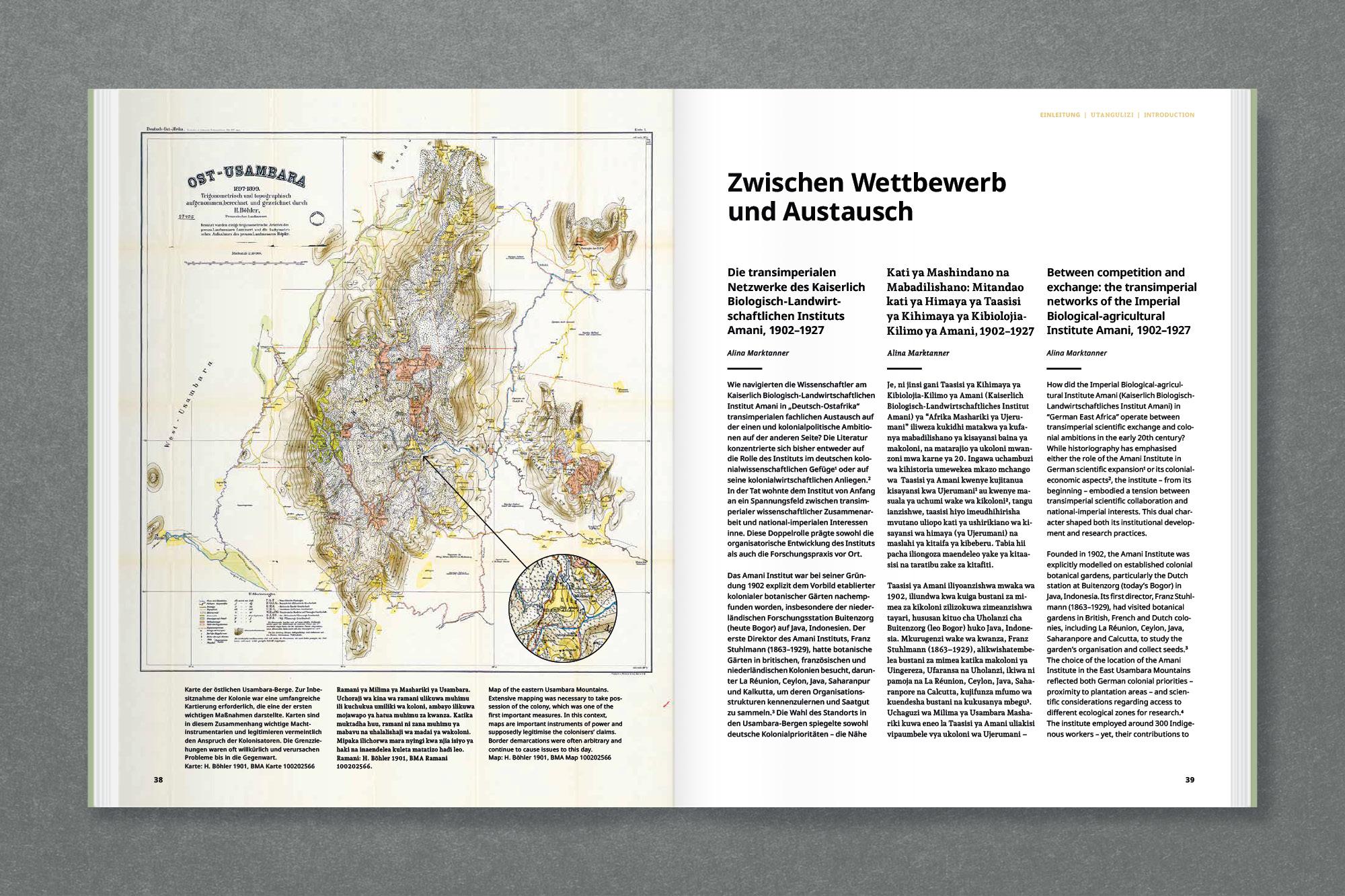 Beispielinhalt (Bild) Amani