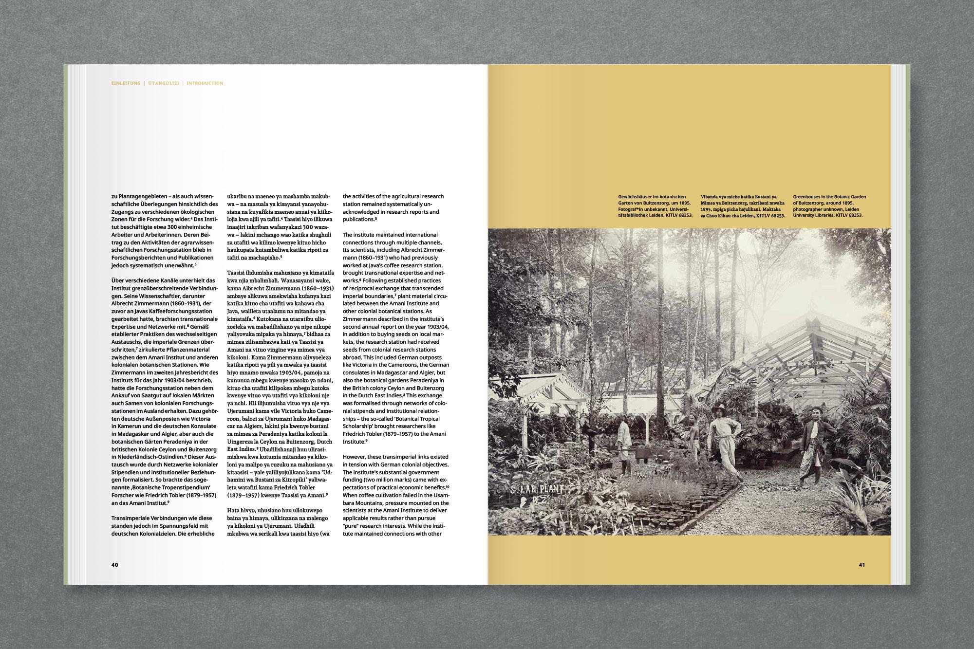 Beispielinhalt (Bild) Amani