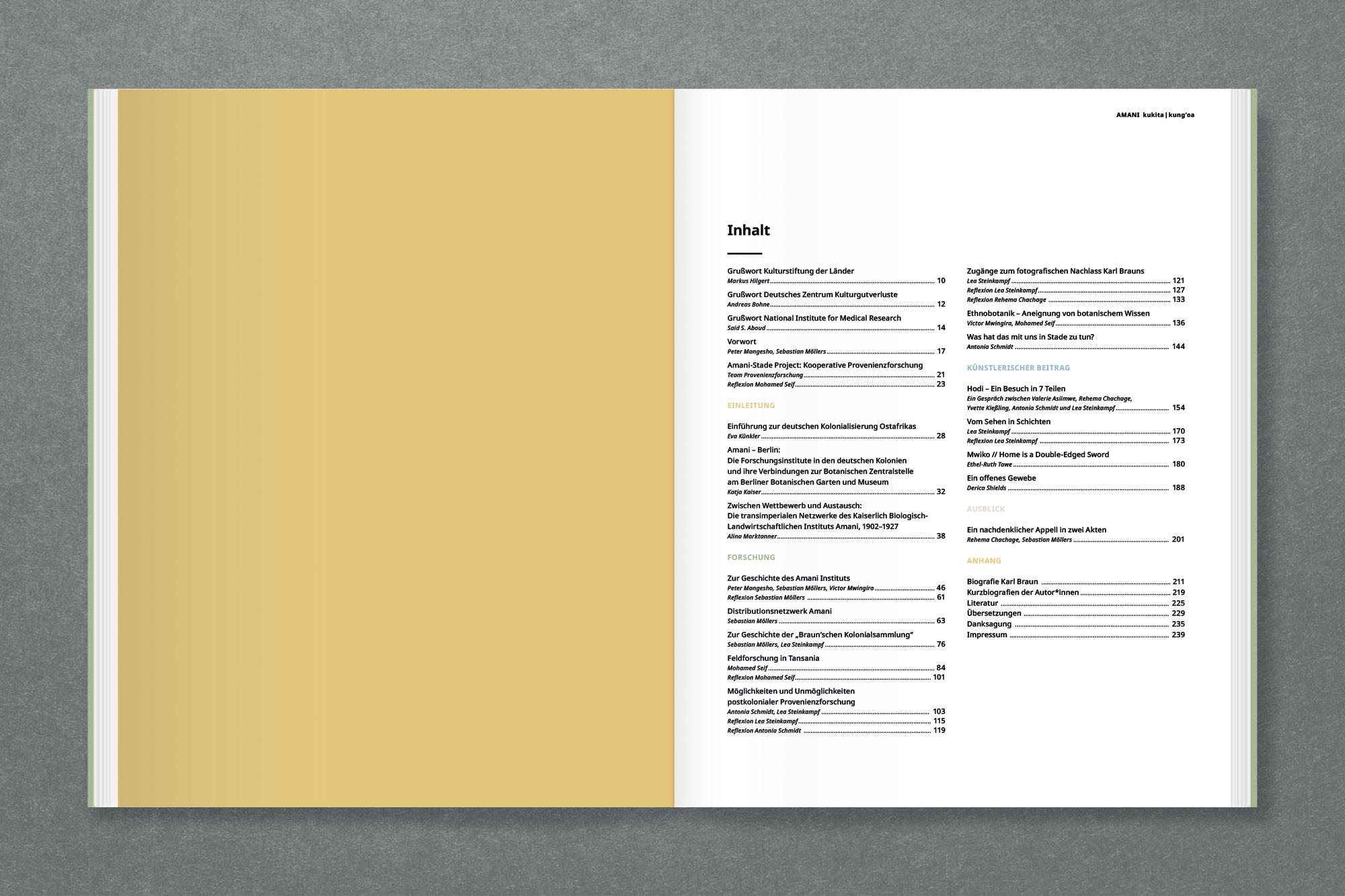 Beispielinhalt (Bild) Amani