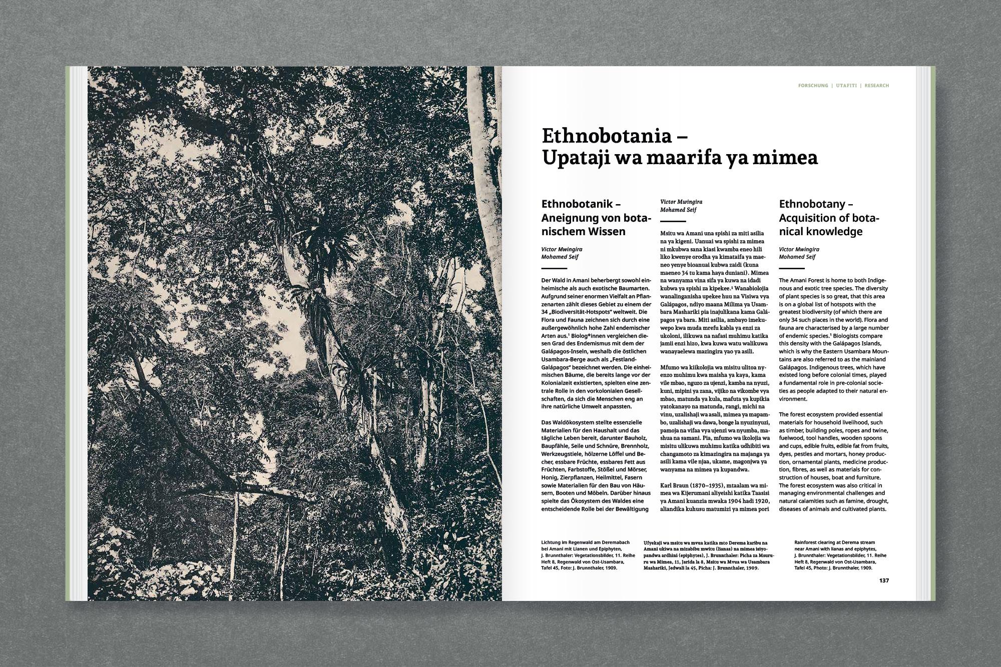 Beispielinhalt (Bild) Amani