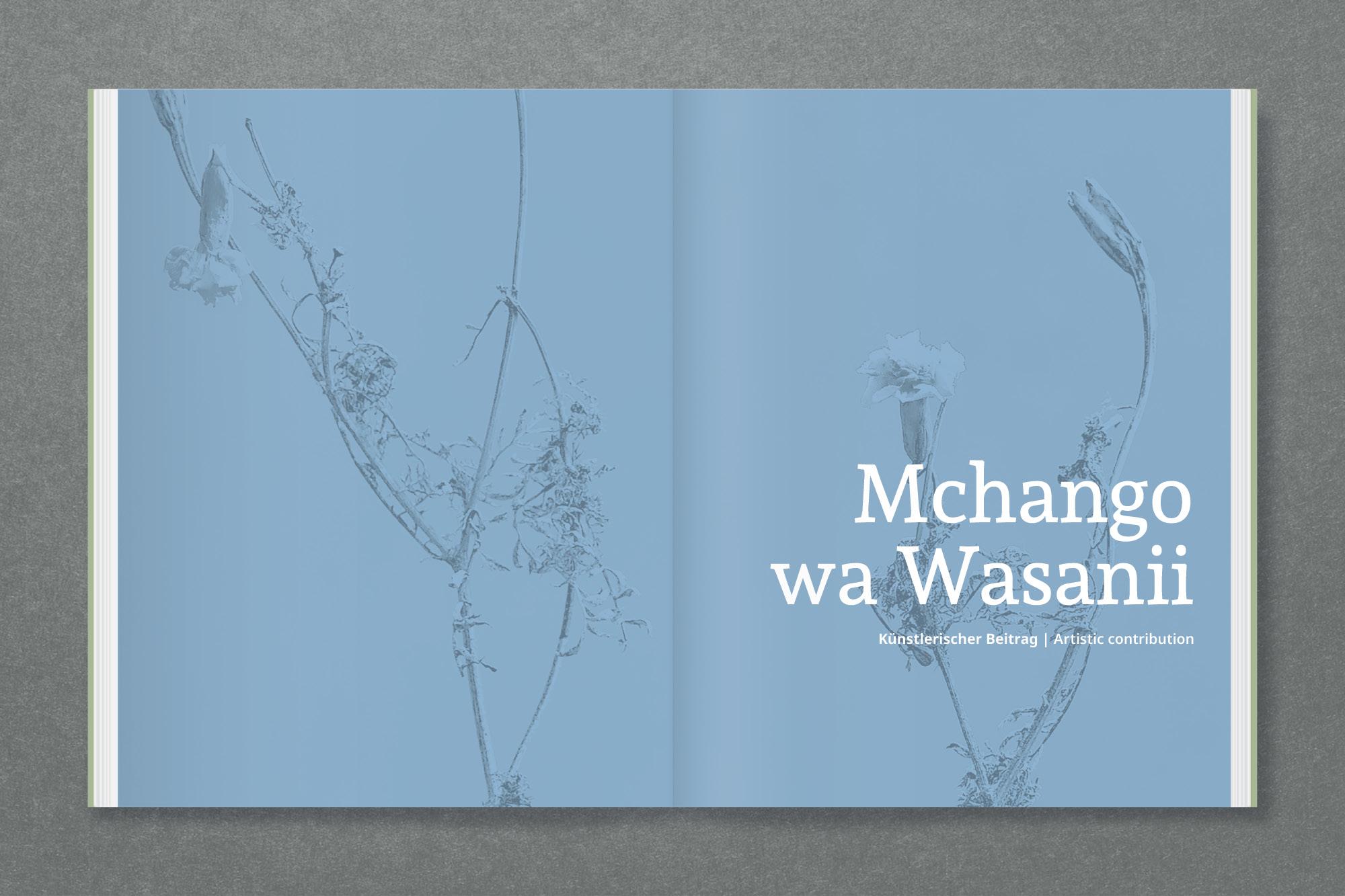 Beispielinhalt (Bild) Amani